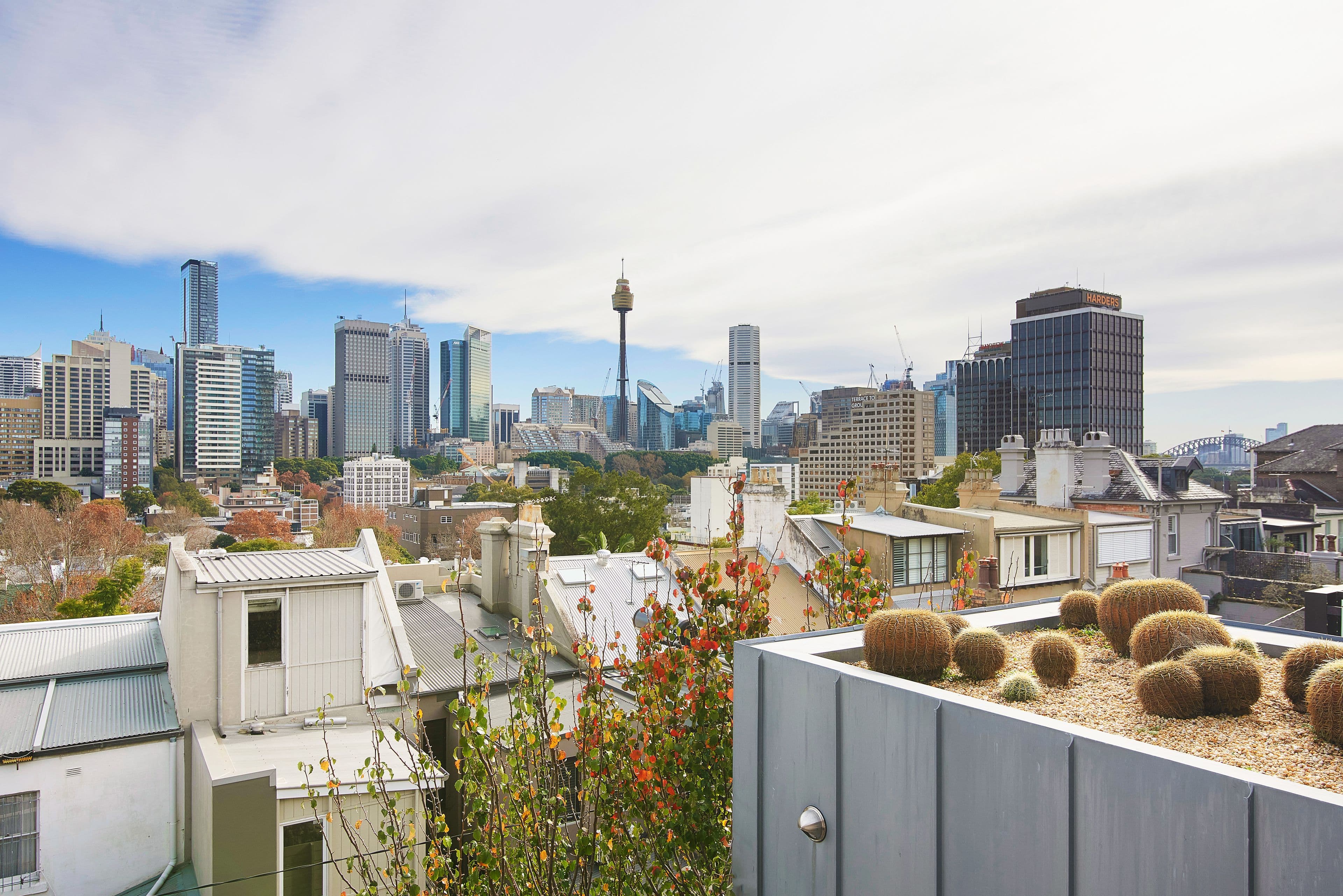 239 Forbes Street, Darlinghurst NSW 2010, Darlinghurst - Thumbnail 3