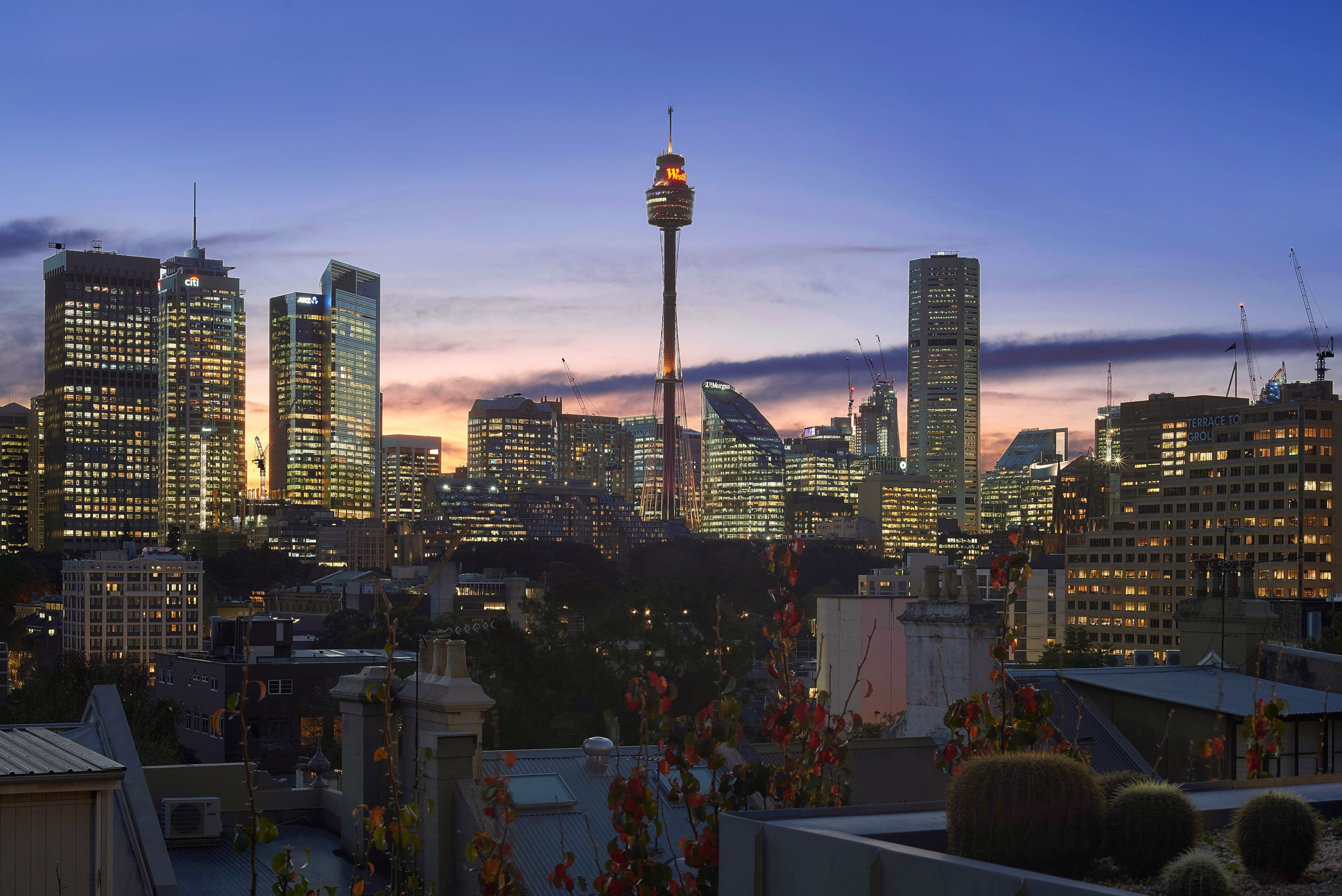 239 Forbes Street, Darlinghurst NSW 2010, Darlinghurst - Thumbnail 7