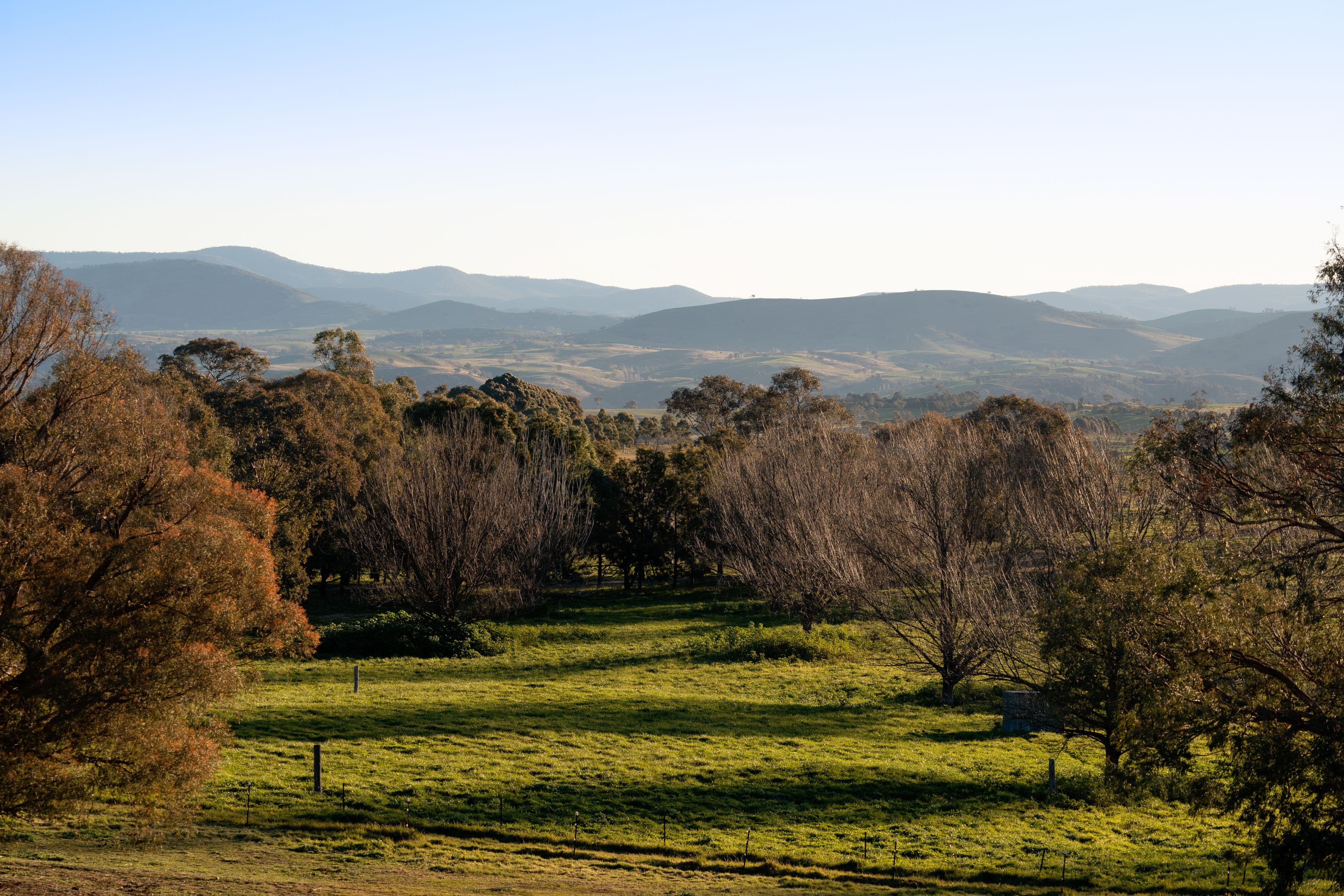 518 Kaveneys Road, Jeir NSW 2582, Jeir - Thumbnail 4