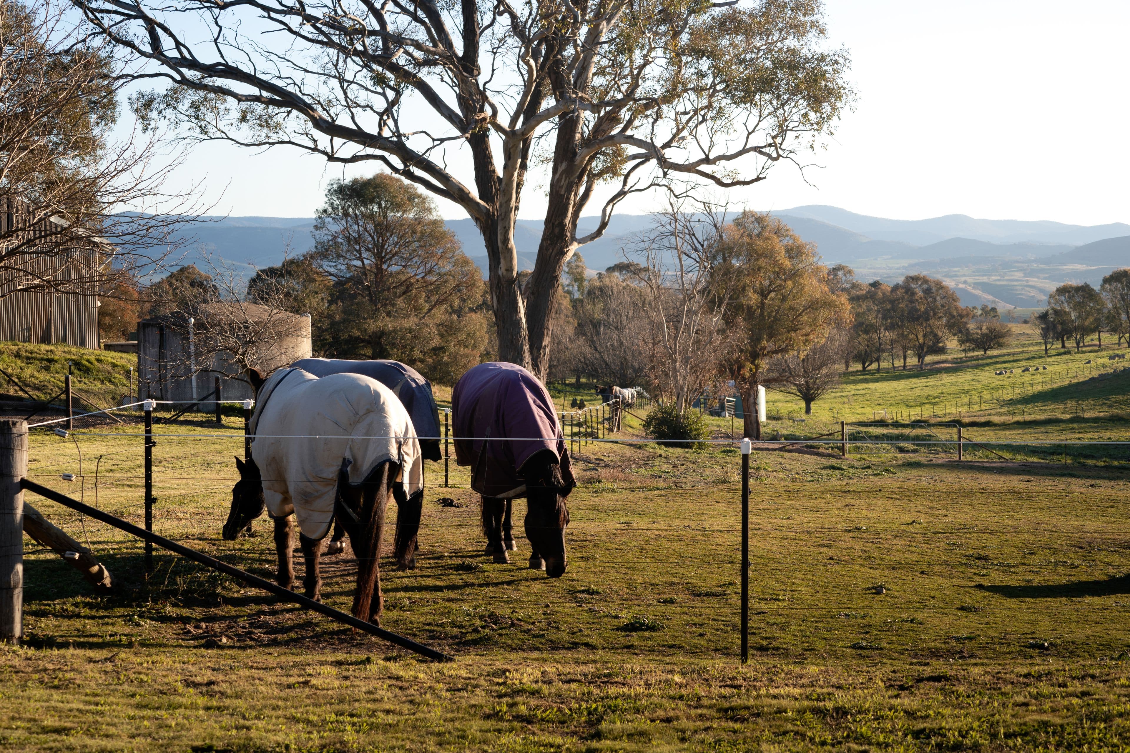 518 Kaveneys Road, Jeir NSW 2582, Jeir - Thumbnail 5
