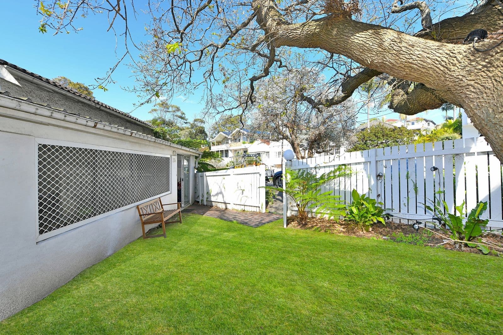 234 Clovelly Road, Coogee NSW 2034, Coogee - Thumbnail 4