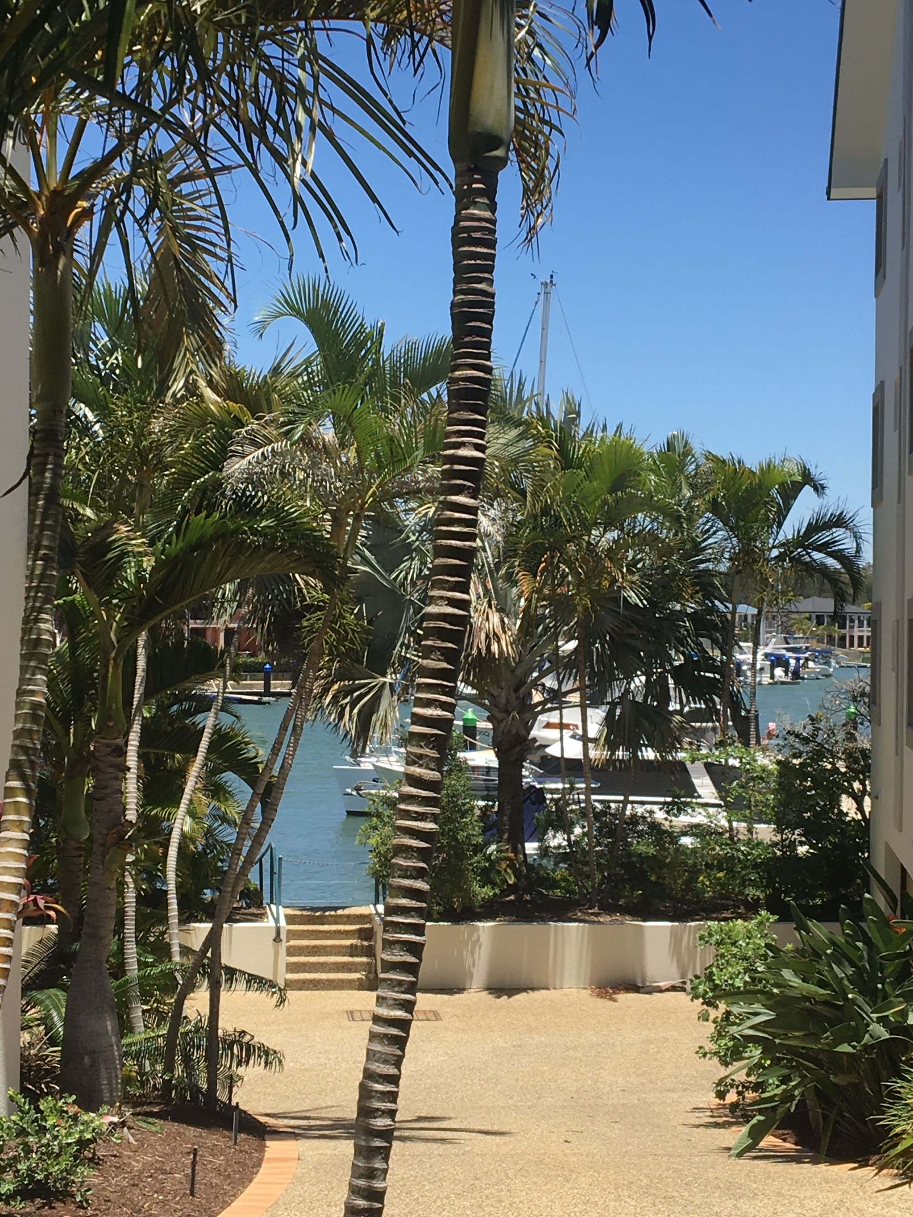 10 Esperance Court, Cleveland QLD 4163, Cleveland - Thumbnail 6