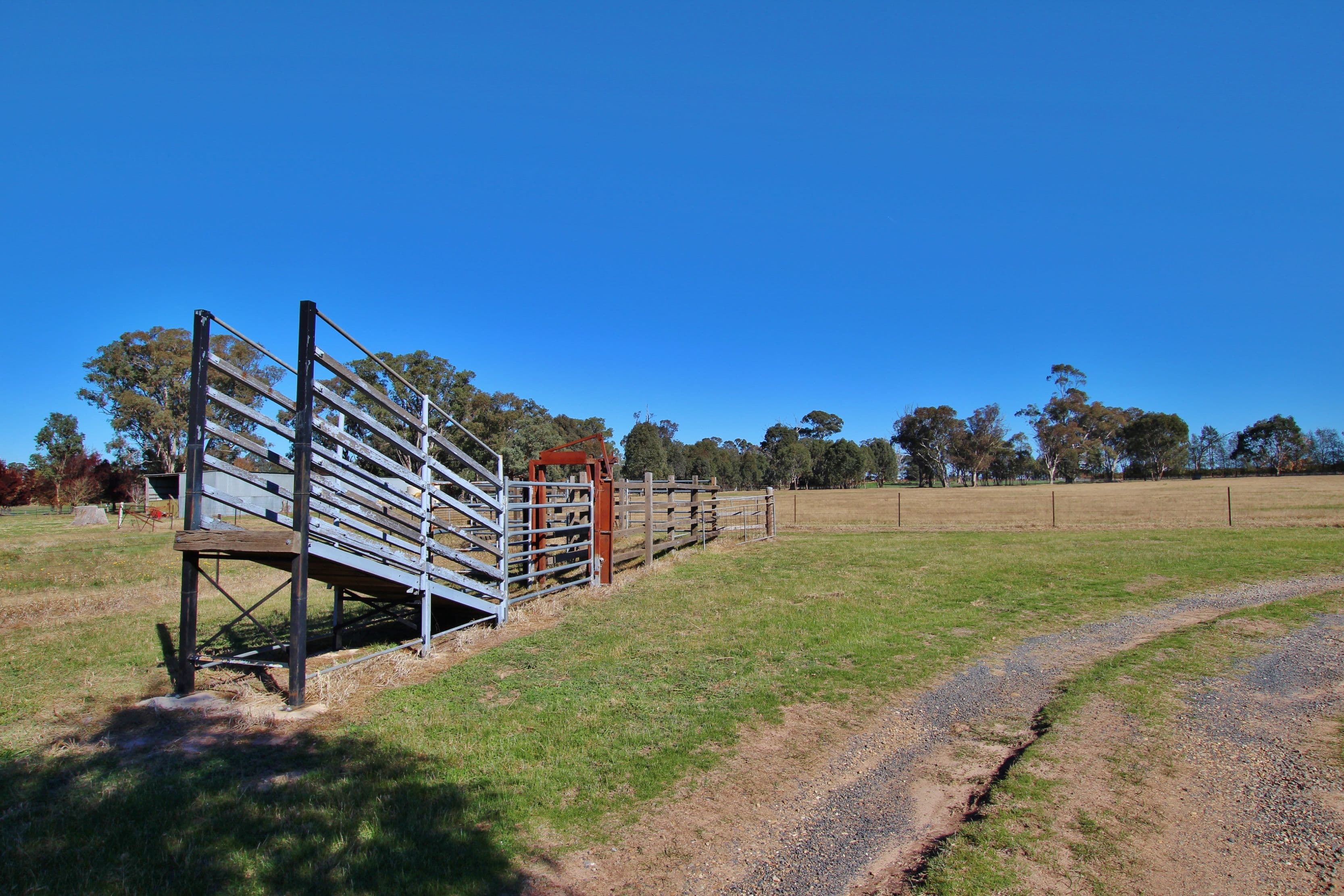 "BROGO" Lot 1 Ellerslee Road, WOMBAT via, Young NSW 2594, Young - Thumbnail 3