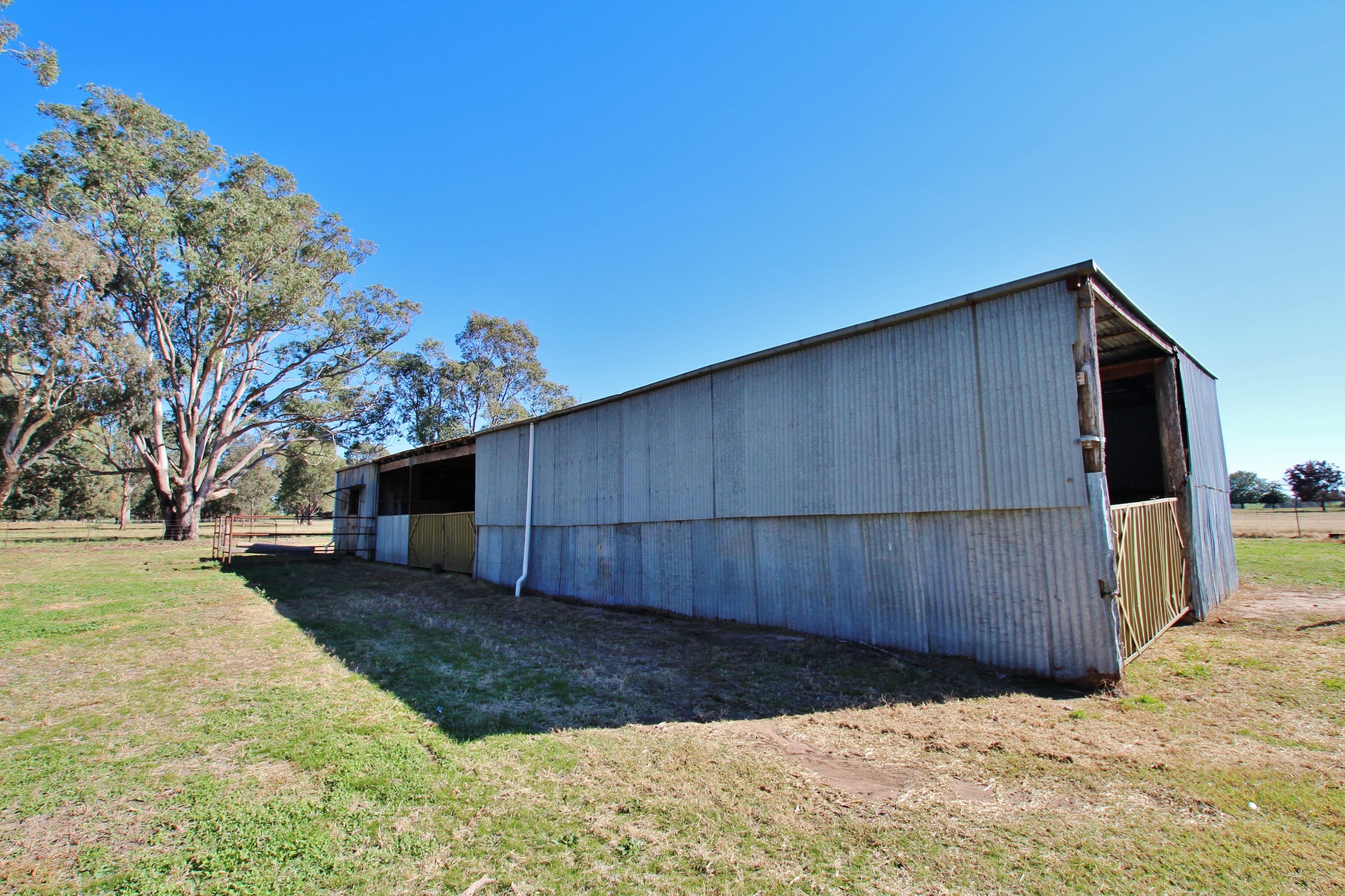 "BROGO" Lot 1 Ellerslee Road, WOMBAT via, Young NSW 2594, Young - Thumbnail 4