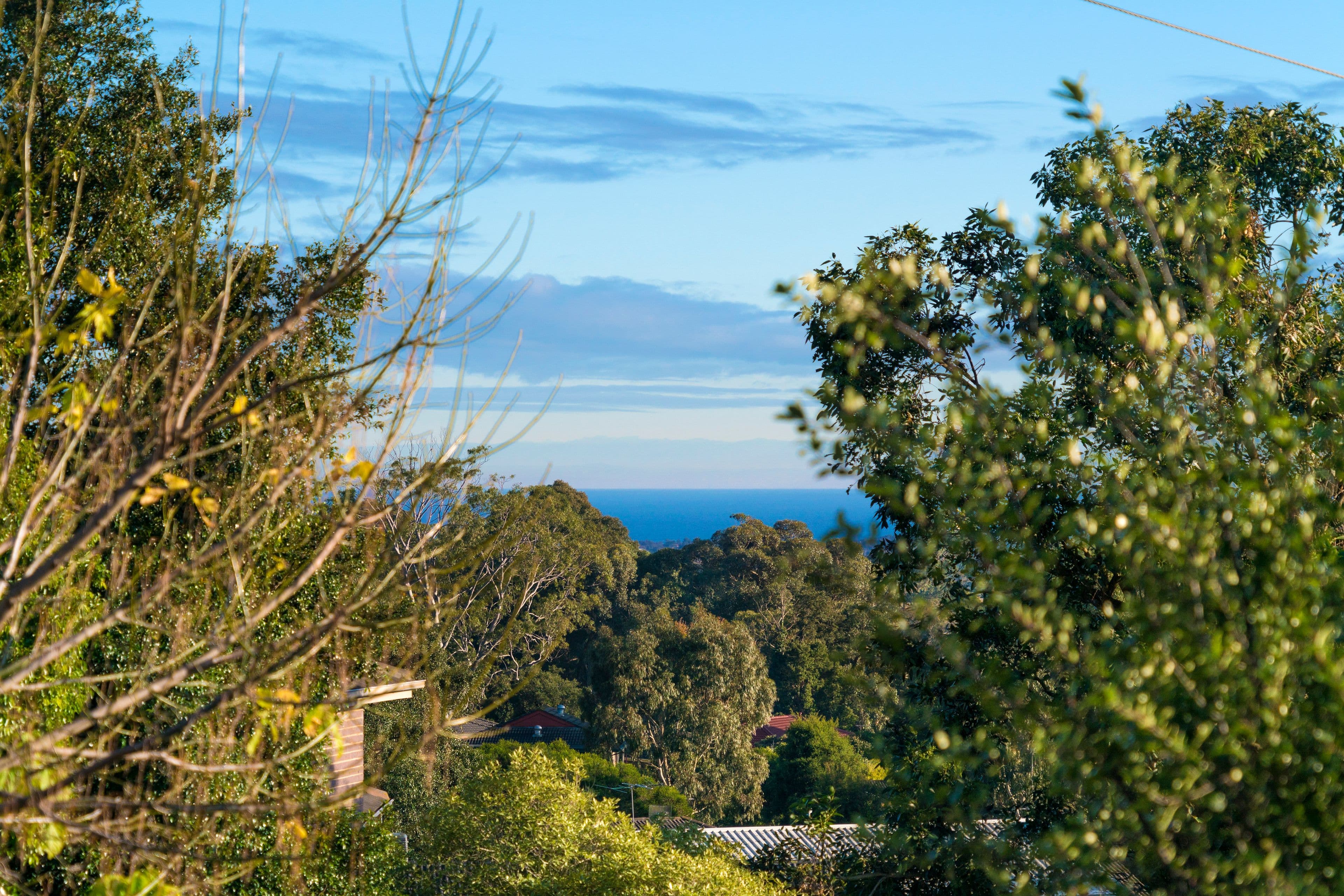 7 Tabor Mews, Frankston VIC 3199, Frankston - Thumbnail 8