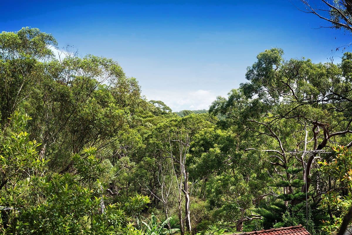 8 Sedgeman Avenue, Menai - Thumbnail 5