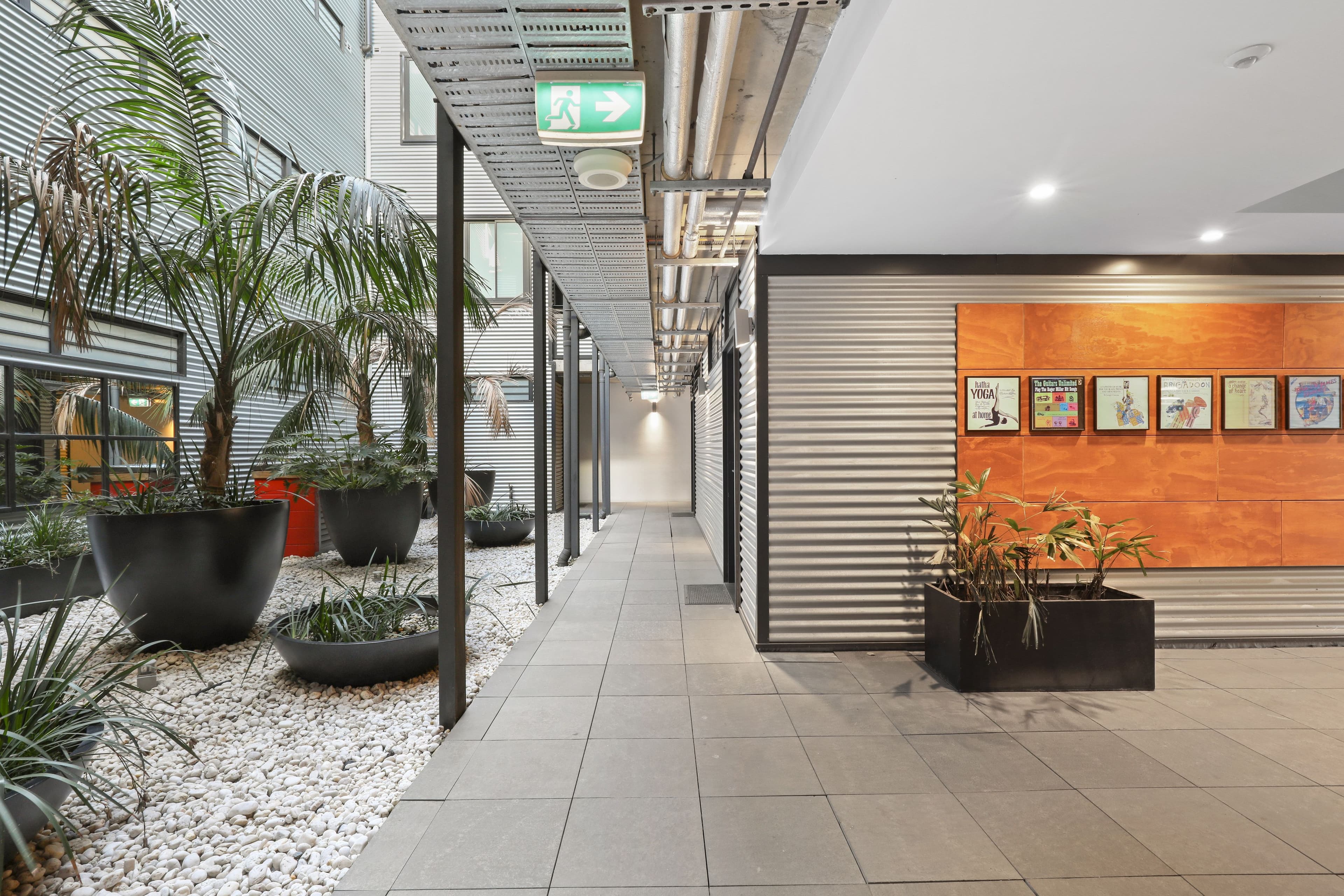 478 Wattle Street, Ultimo NSW 2007, Ultimo - Thumbnail 6