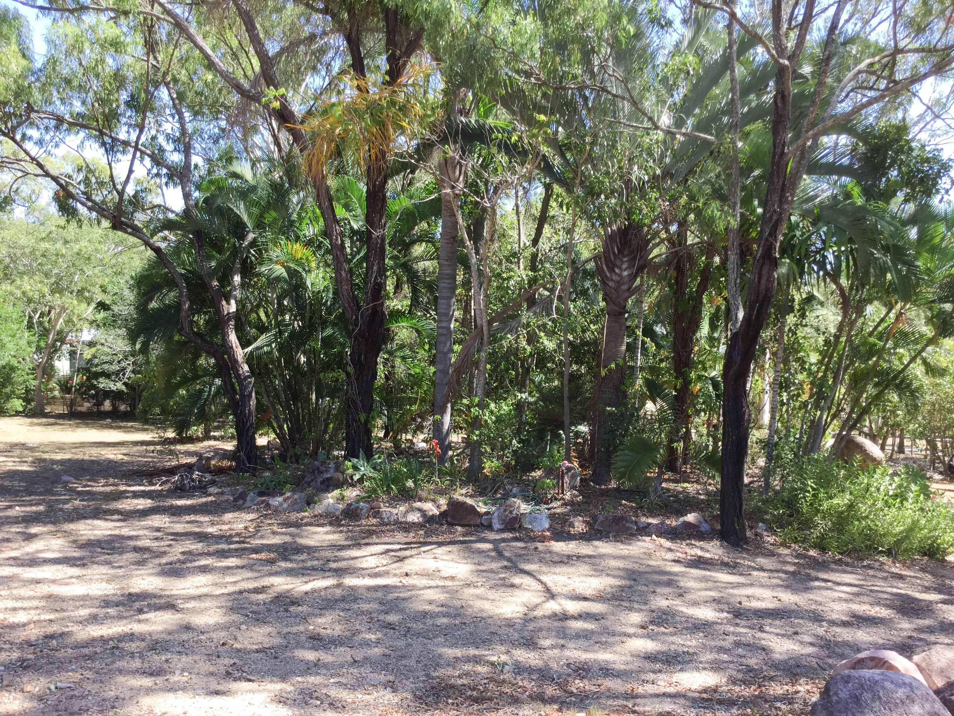 163 Rafting Ground Road, Agnes Water QLD 4677, Agnes Water - Thumbnail 5