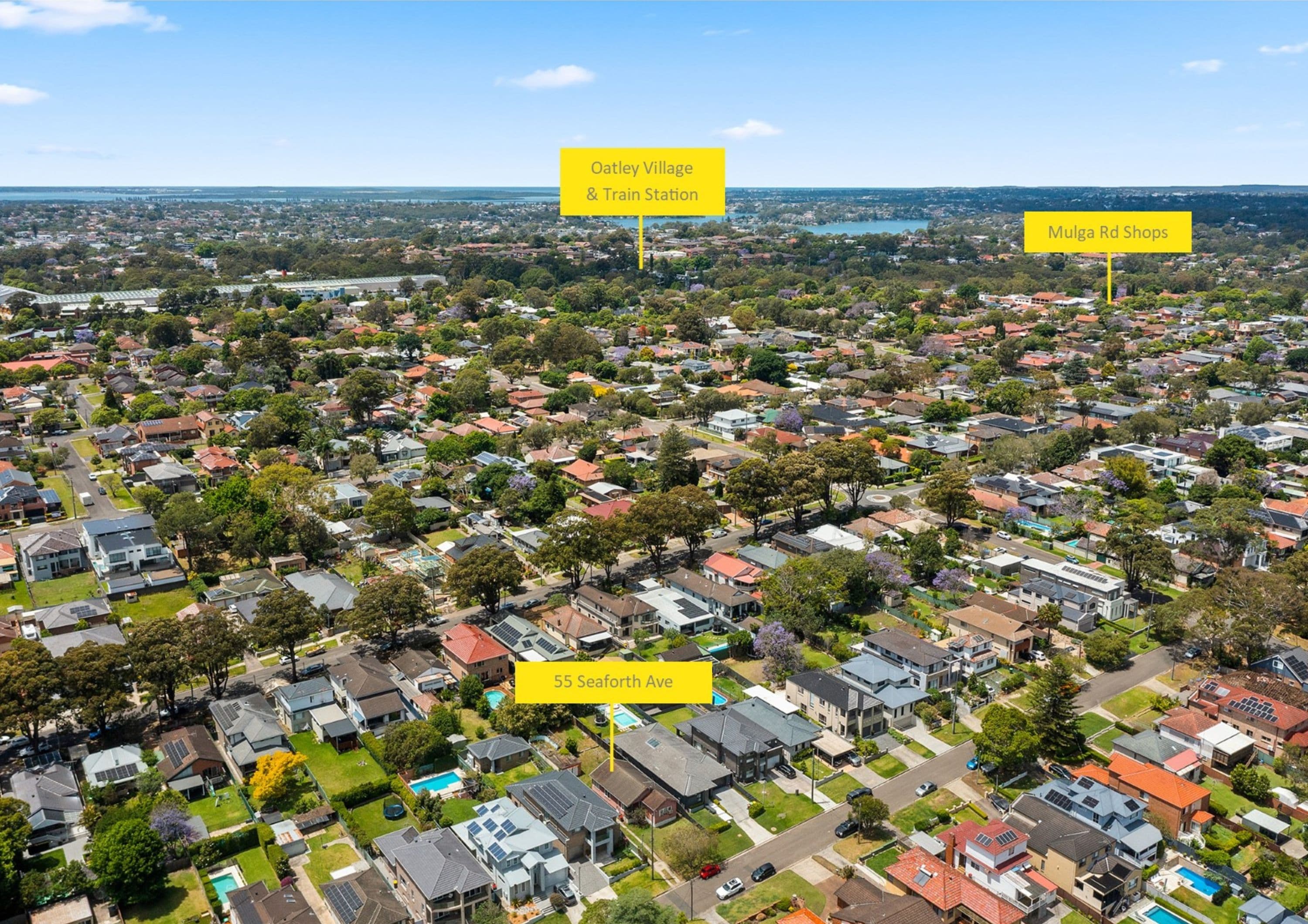 55 Seaforth Avenue, Oatley NSW 2223, Oatley - Thumbnail 4