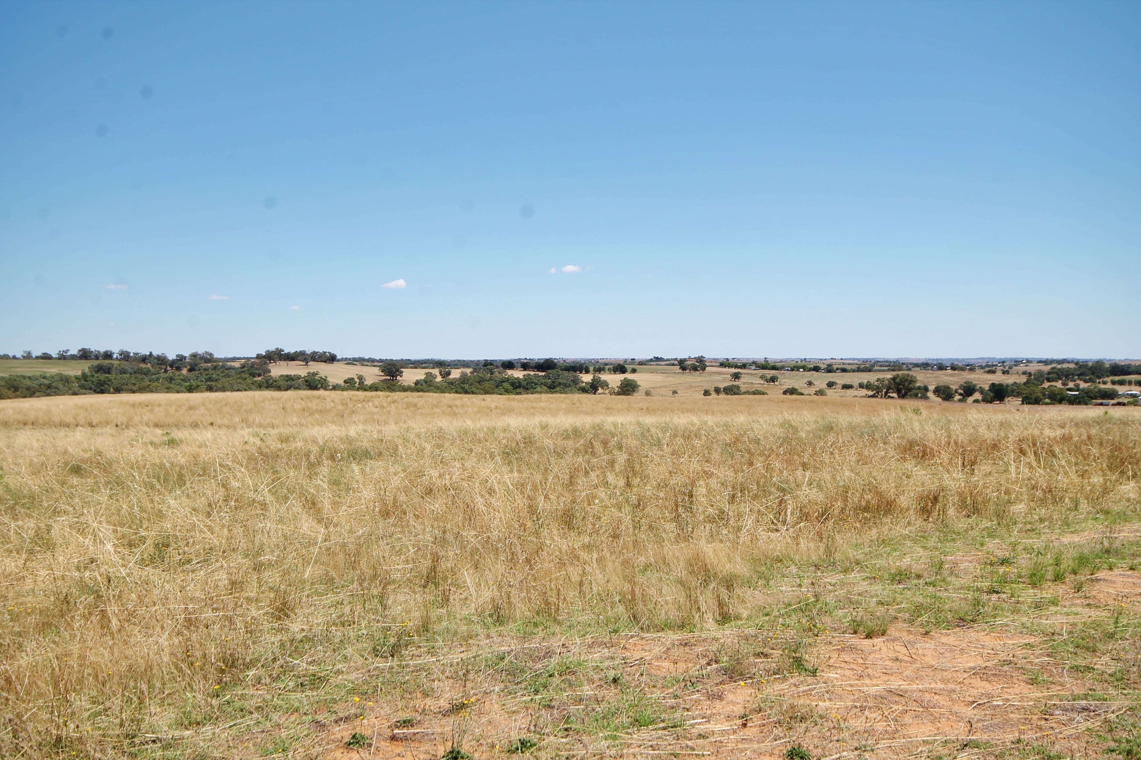 190 Sads Lane MONTEAGLE via, YOUNG NSW 2594, Young - Thumbnail 2
