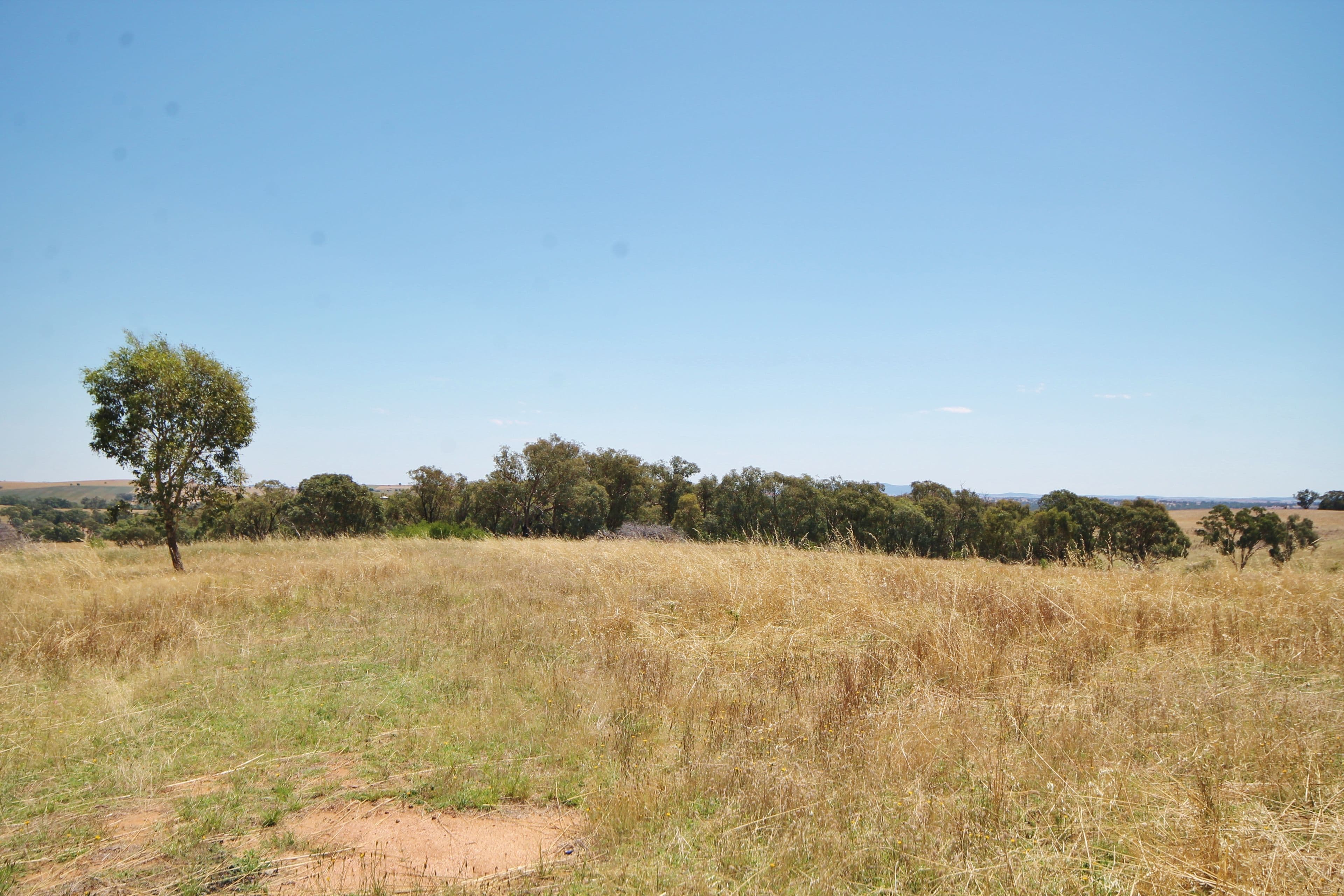 190 Sads Lane MONTEAGLE via, YOUNG NSW 2594, Young - Thumbnail 3