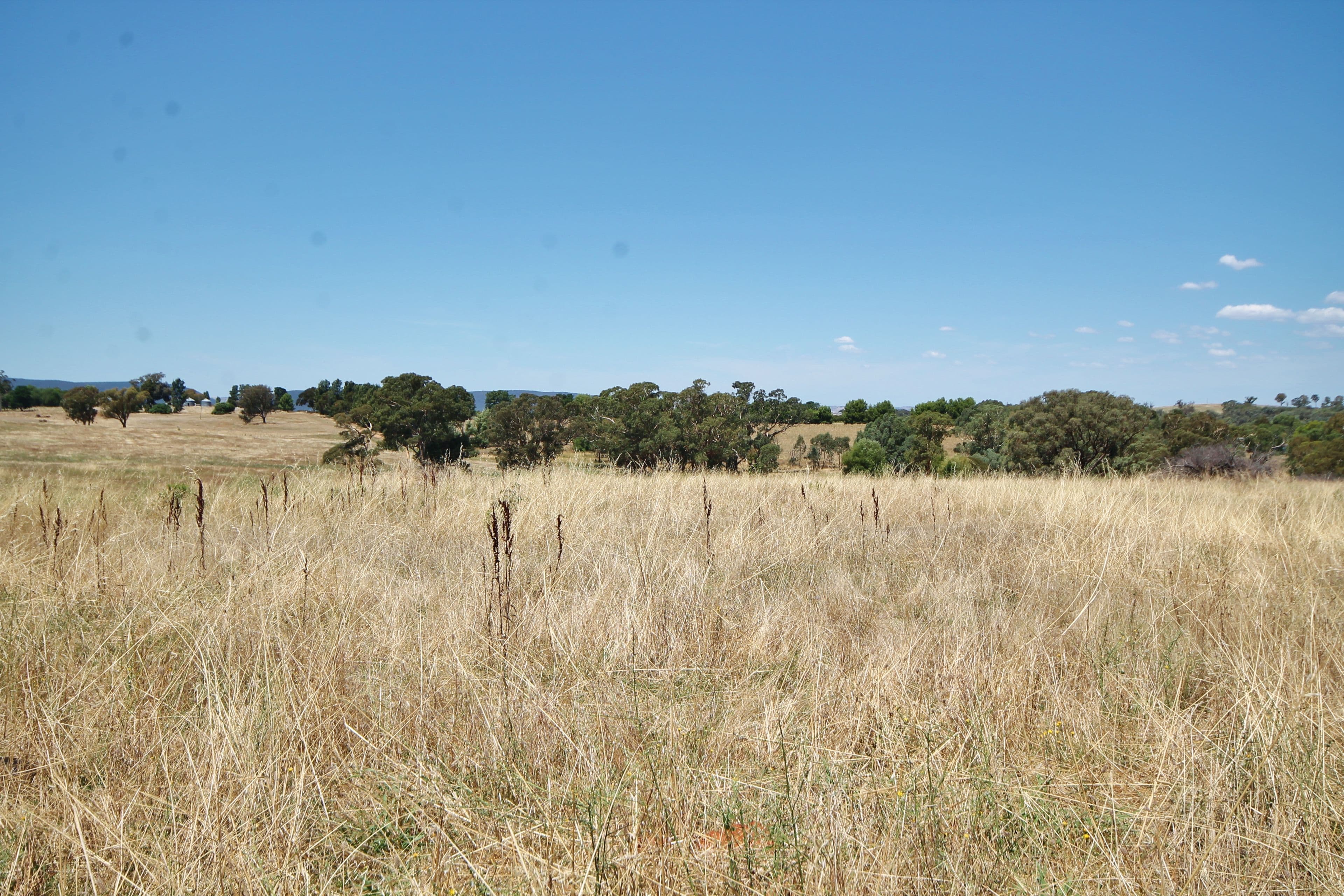 190 Sads Lane MONTEAGLE via, YOUNG NSW 2594, Young - Thumbnail 4