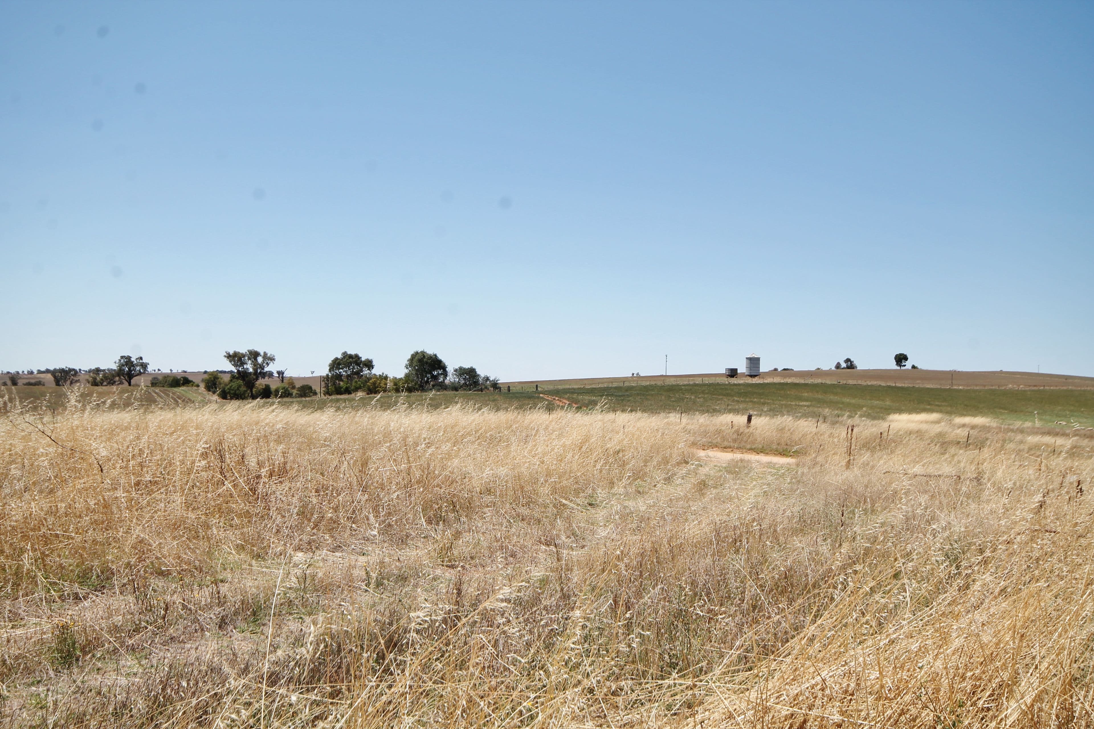 190 Sads Lane MONTEAGLE via, YOUNG NSW 2594, Young - Thumbnail 5