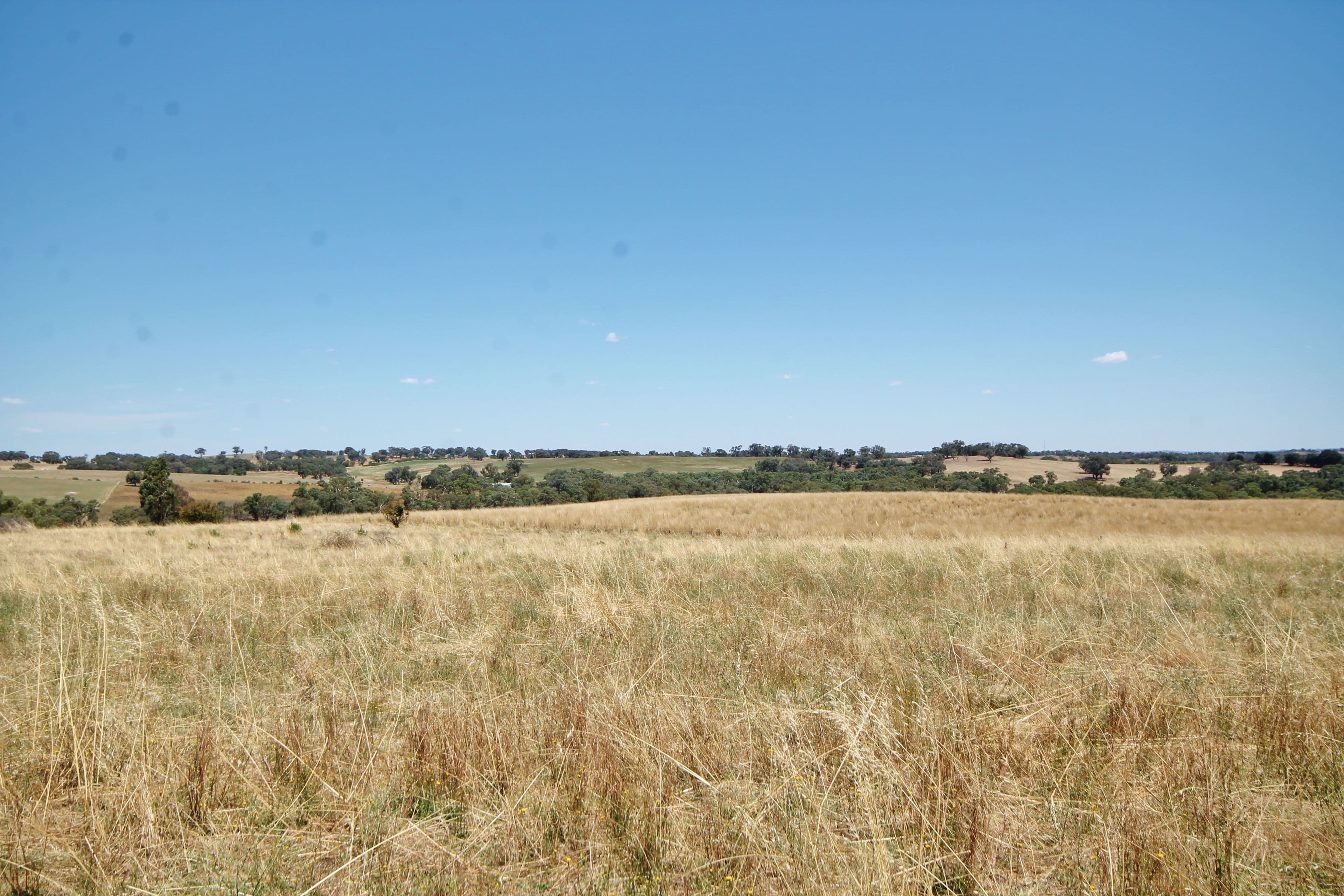 190 Sads Lane MONTEAGLE via, YOUNG NSW 2594, Young - Thumbnail 7