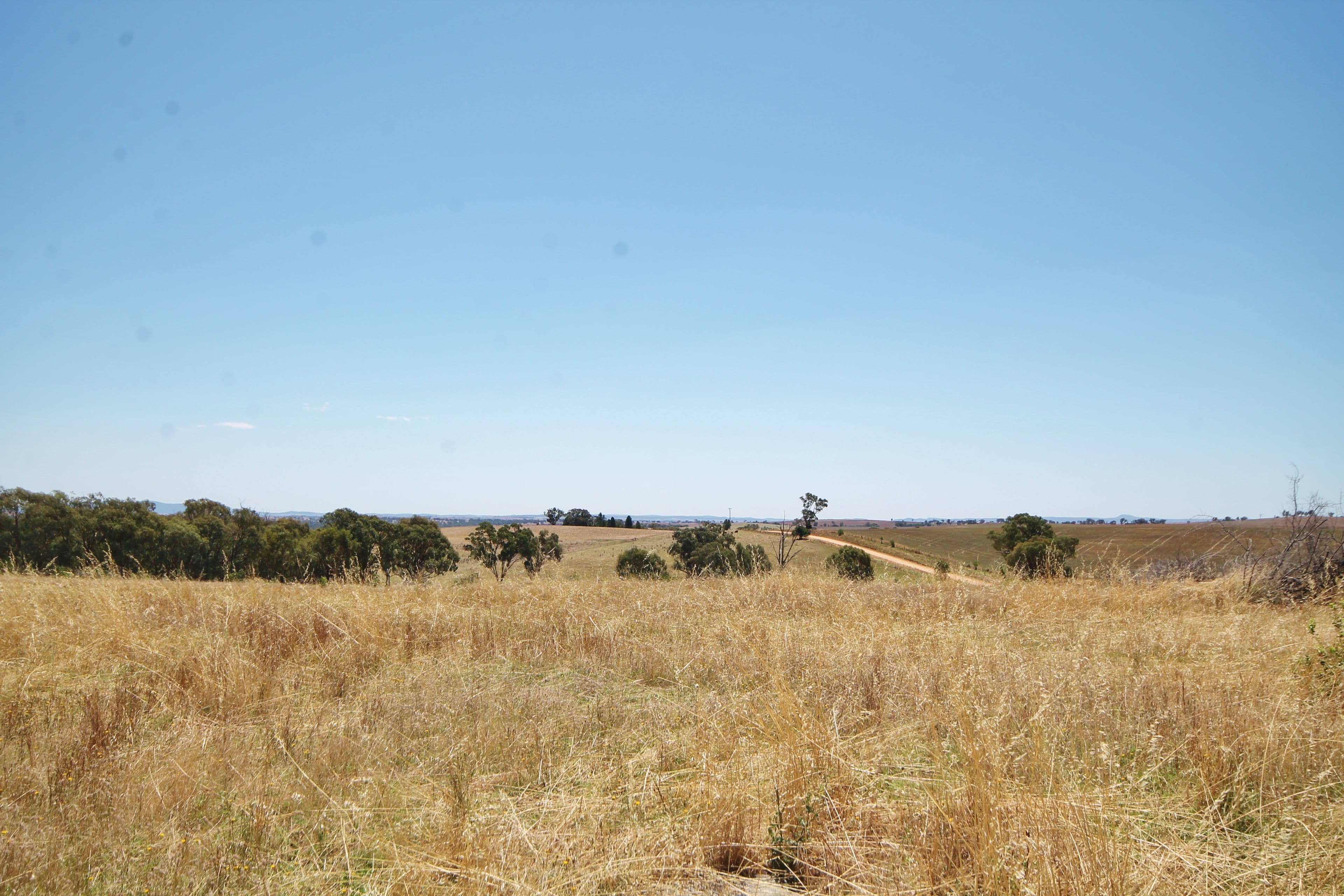 190 Sads Lane MONTEAGLE via, YOUNG NSW 2594, Young - Thumbnail 8