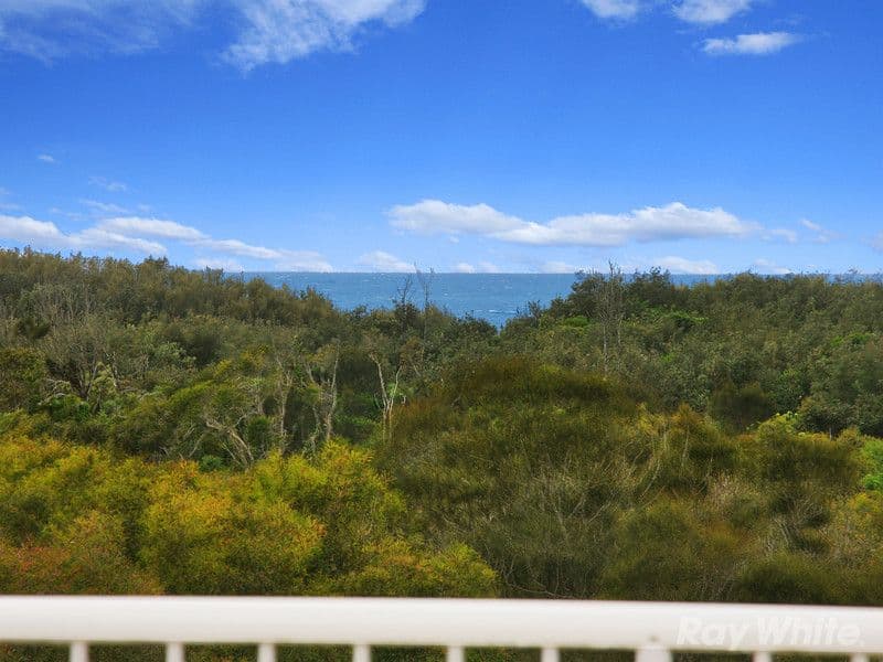 40 First Avenue, Coolum Beach QLD 4573, Coolum Beach - Thumbnail 6