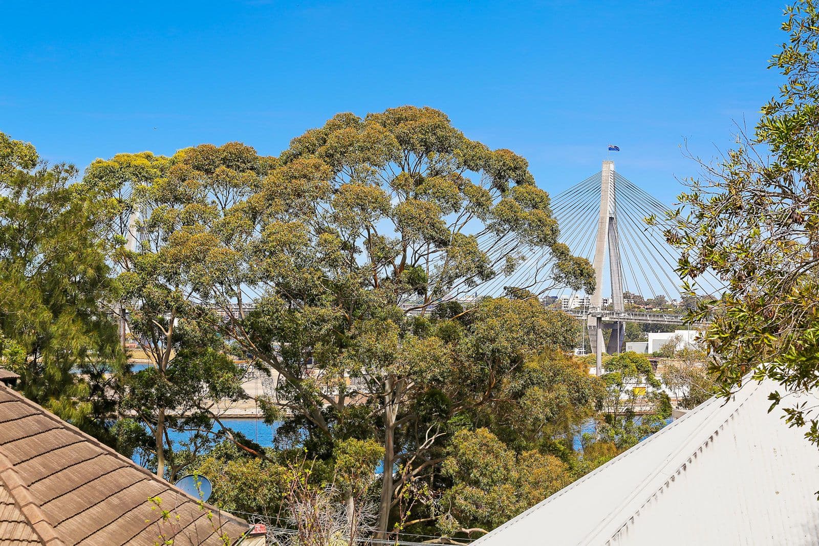 29 Bradford Street, Balmain - Thumbnail 6