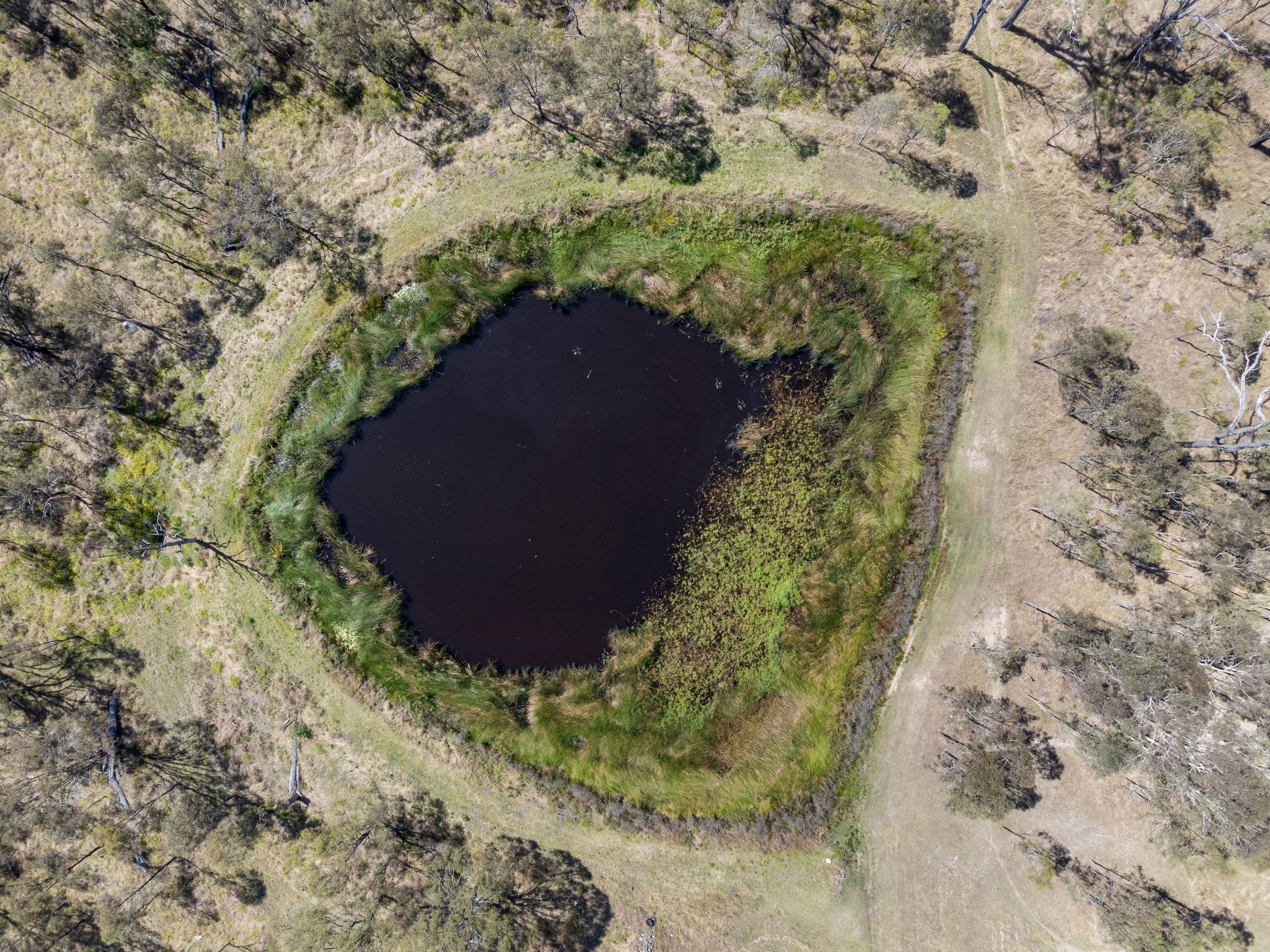 3431-3493 Cunningham Highway, Mutdapilly QLD 4307, Mutdapilly - Thumbnail 4