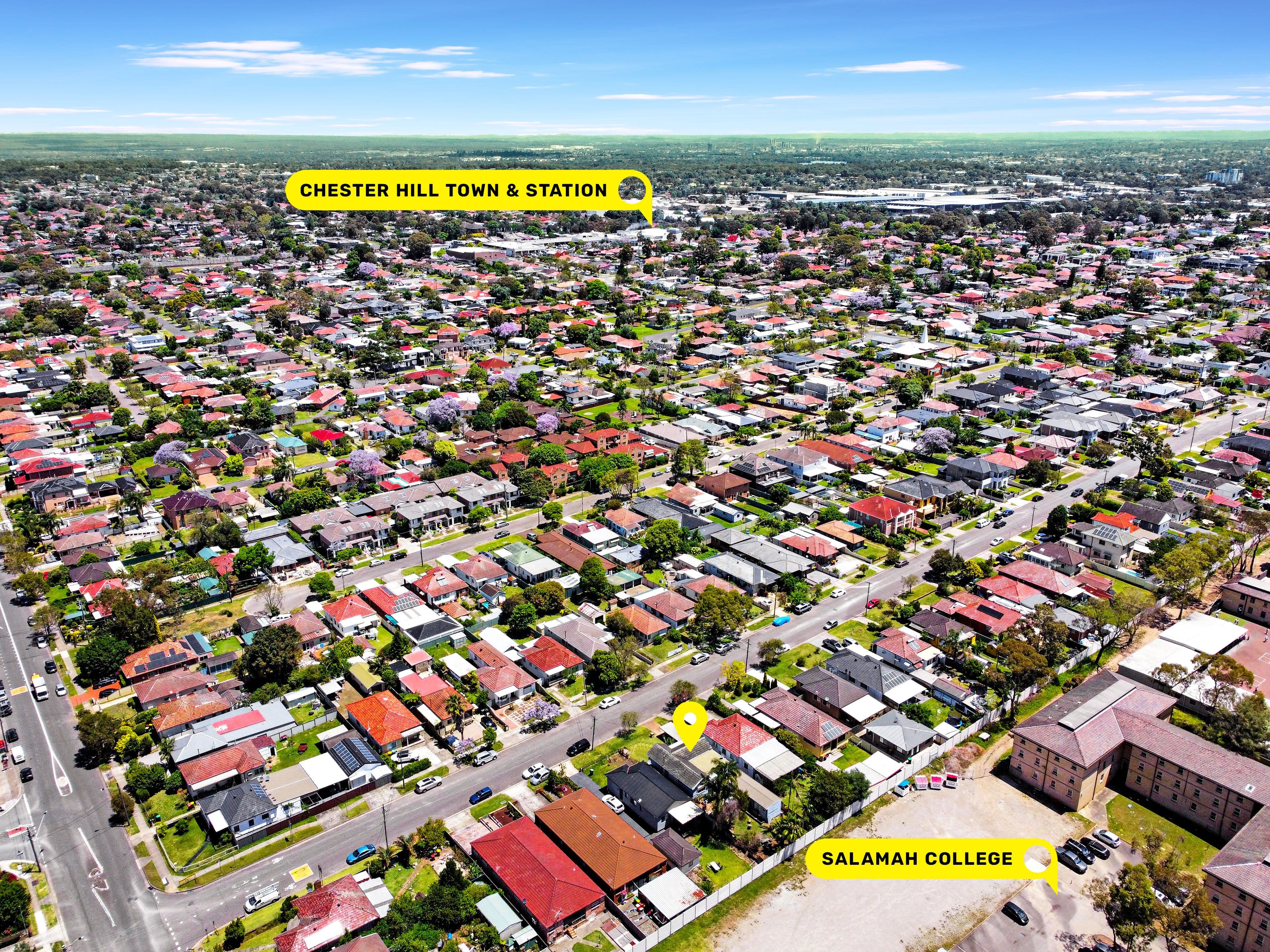 6 Elliston Street, Chester Hill NSW 2162, Chester Hill - Thumbnail 5