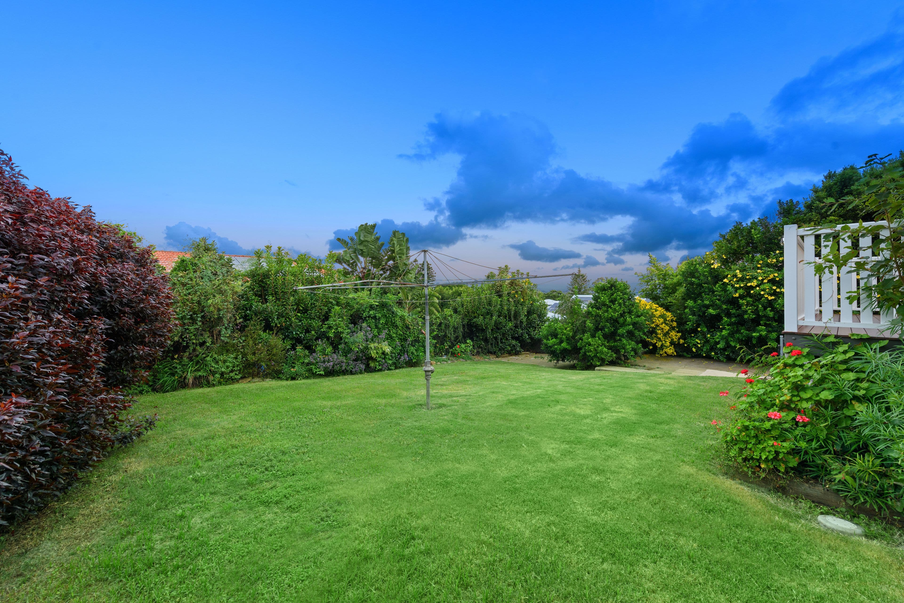 17 Eagle Street, Alderley QLD 4051, Alderley - Thumbnail 7