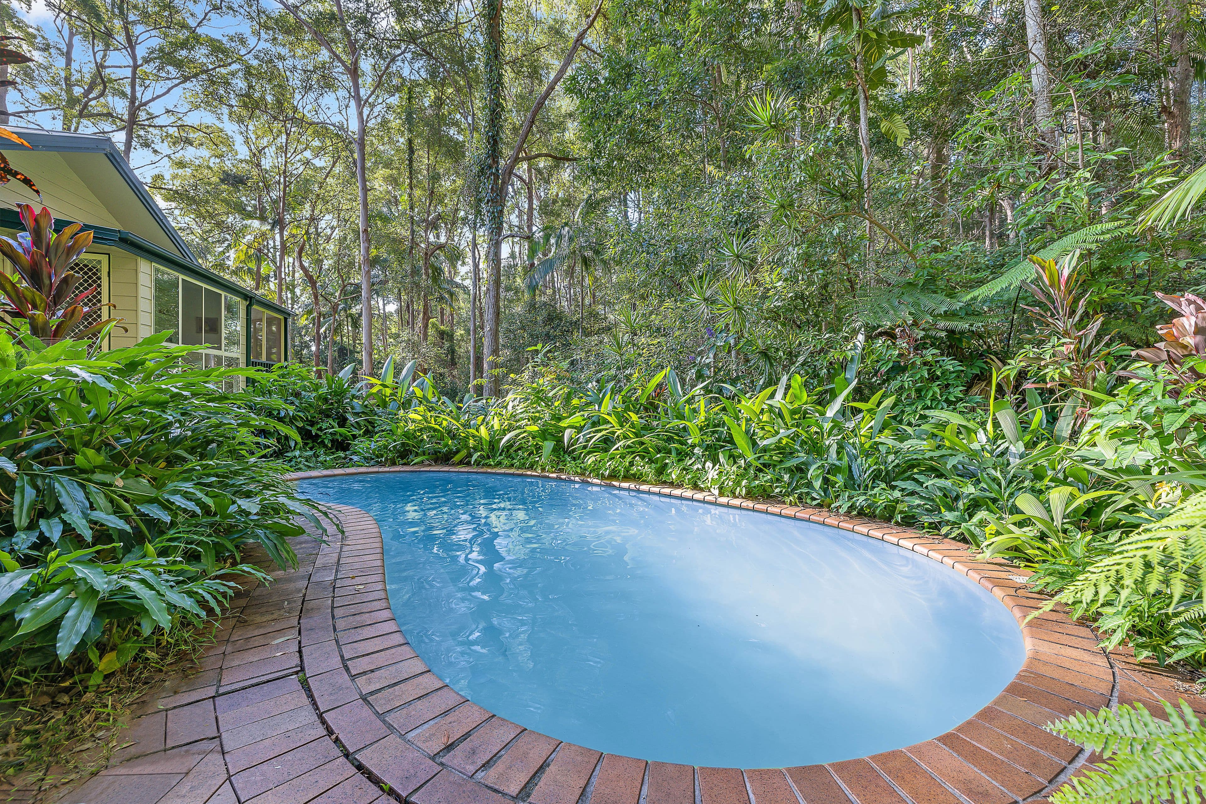 13 Forest View Court, Forest Glen QLD 4556, Forest Glen - Thumbnail 3