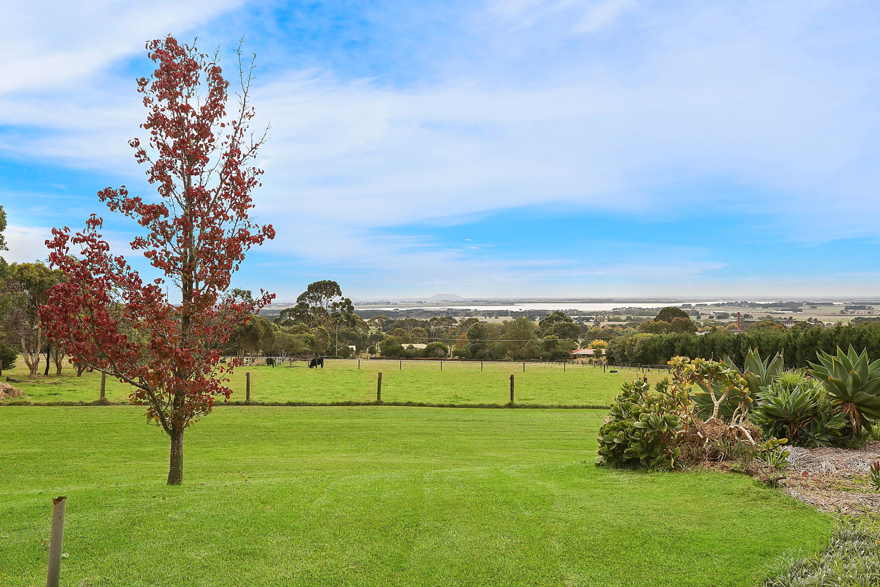 23 Park Avenue, Camperdown VIC 3260, Camperdown - Thumbnail 4