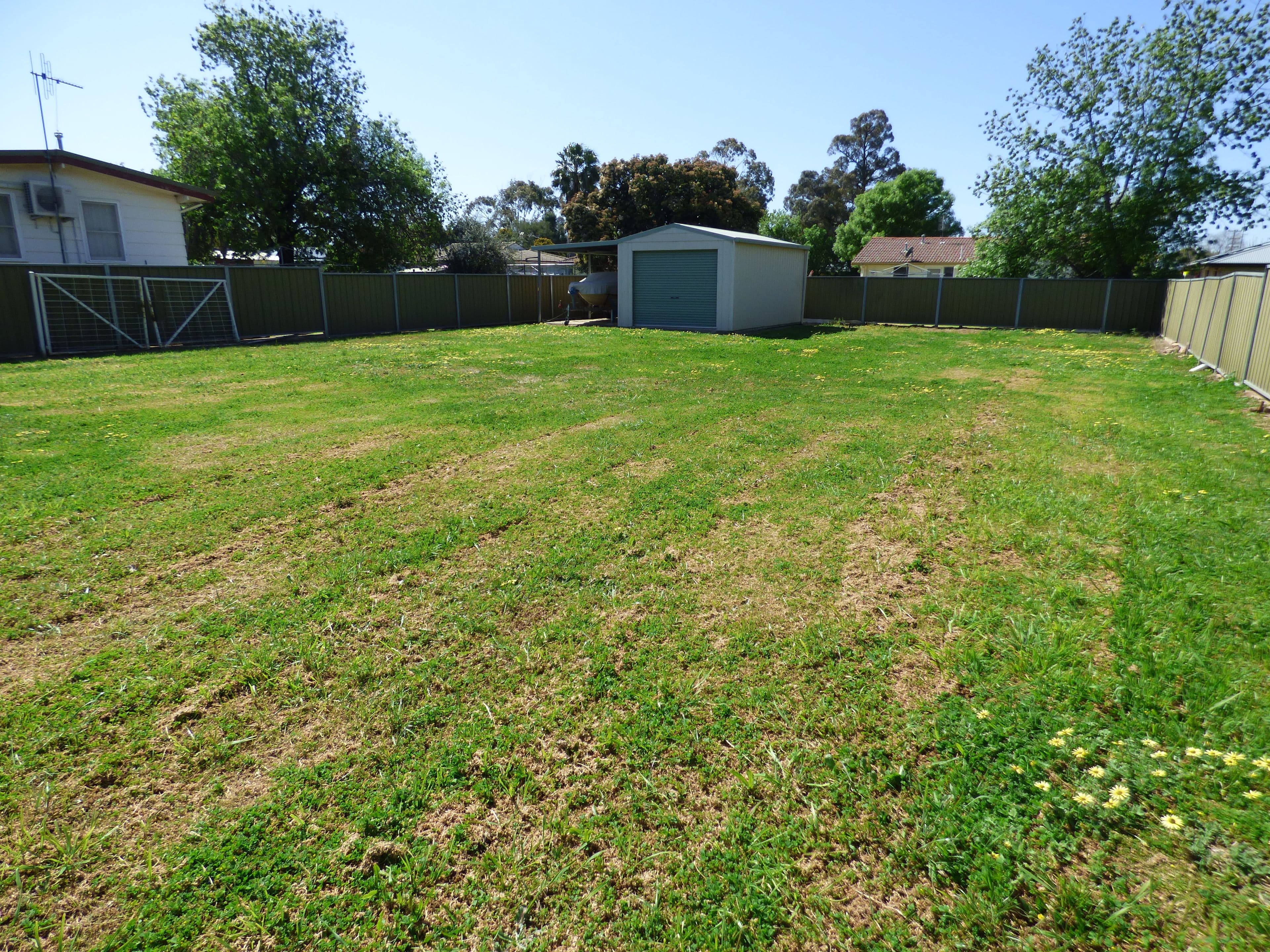 143 York Street, Forbes NSW 2871, Forbes - Image 1