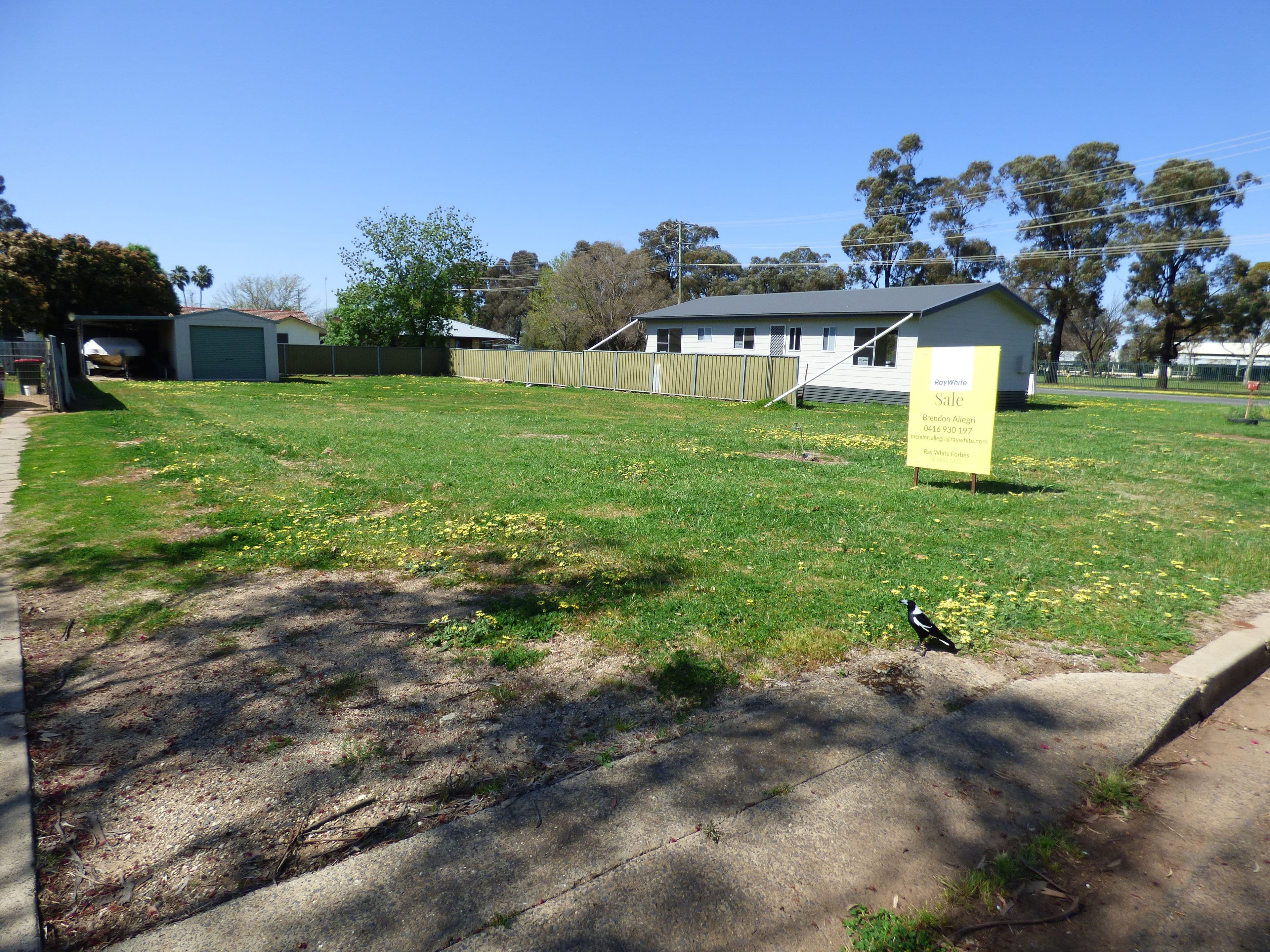 143 York Street, Forbes NSW 2871, Forbes - Thumbnail 6
