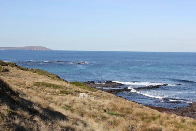 3 Jill Street, Sunderland Bay VIC 3922, Sunderland Bay - Thumbnail 4
