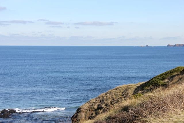 3 Jill Street, Sunderland Bay VIC 3922, Sunderland Bay - Thumbnail 6