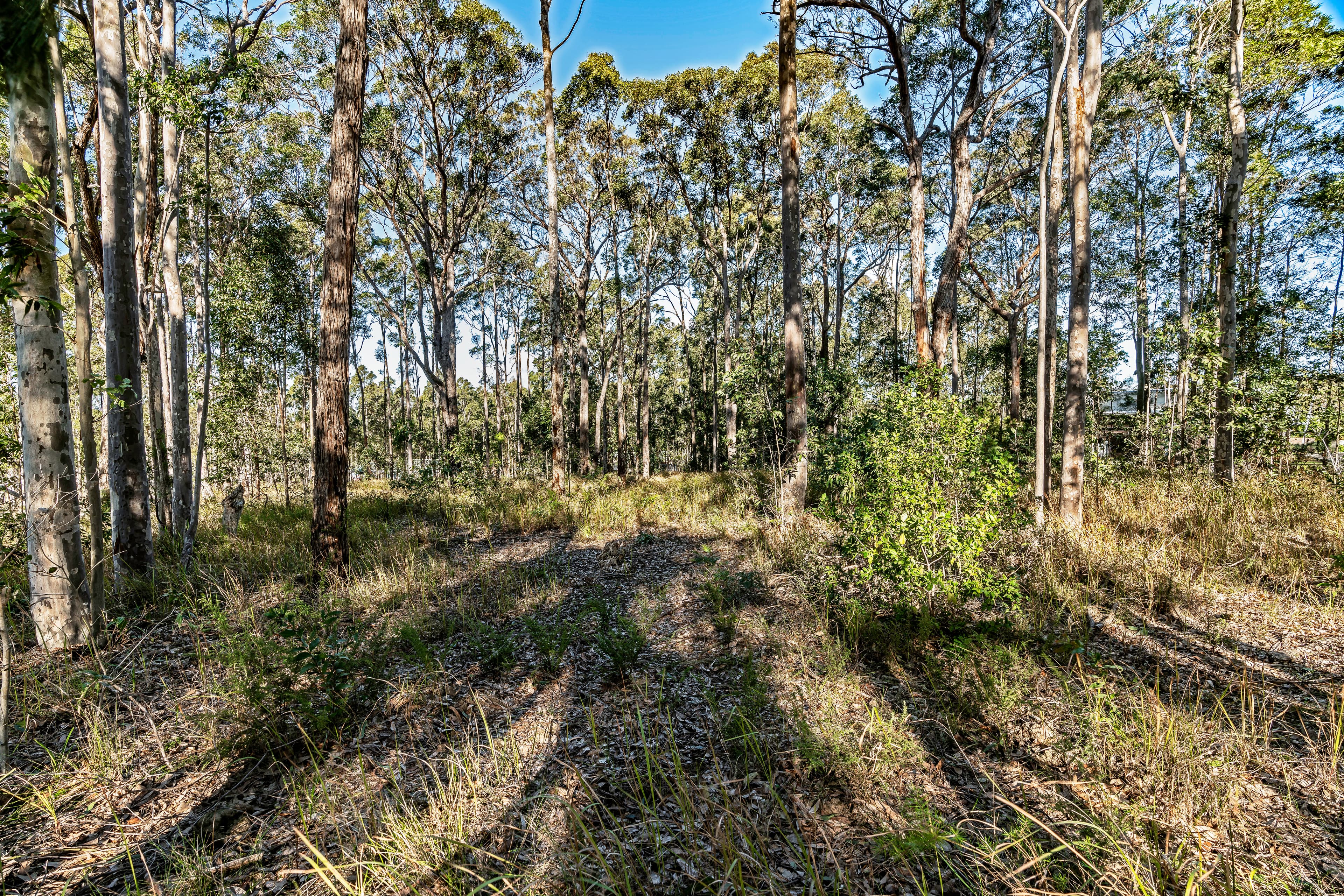14 Tallimba Road, Bangalee NSW 2541, Bangalee - Thumbnail 5