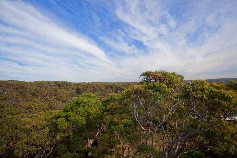 45 Beachcomber Avenue, BUNDEENA NSW 2230, Bundeena - Image 1