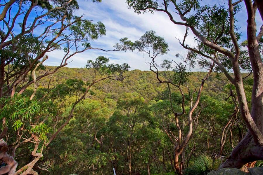 45 Beachcomber Avenue, BUNDEENA NSW 2230, Bundeena - Thumbnail 3