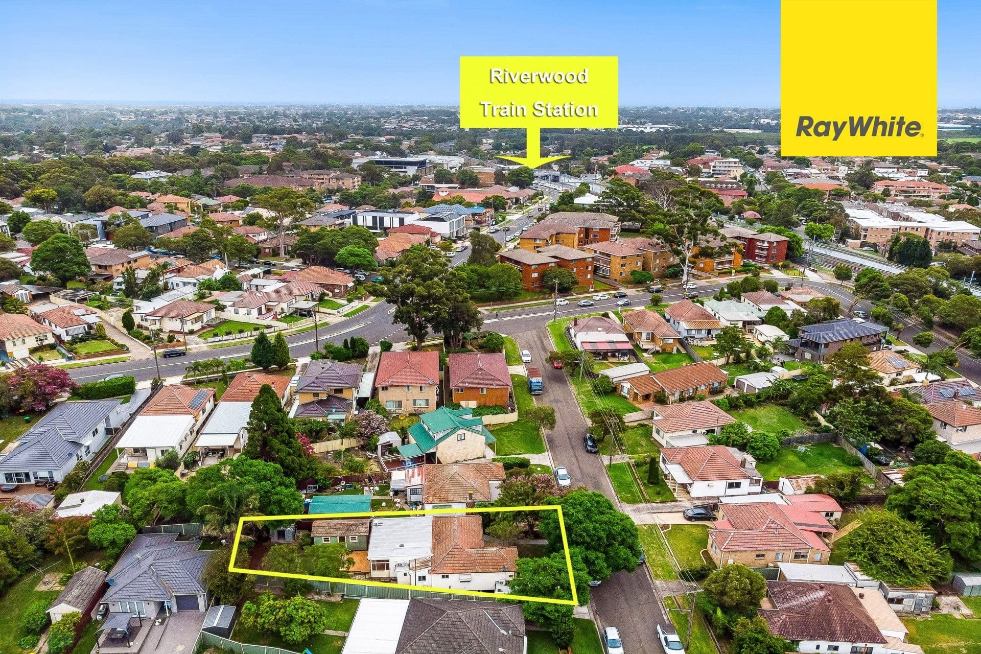 3 Urquhart Street, Riverwood NSW 2210, Riverwood - Thumbnail 5