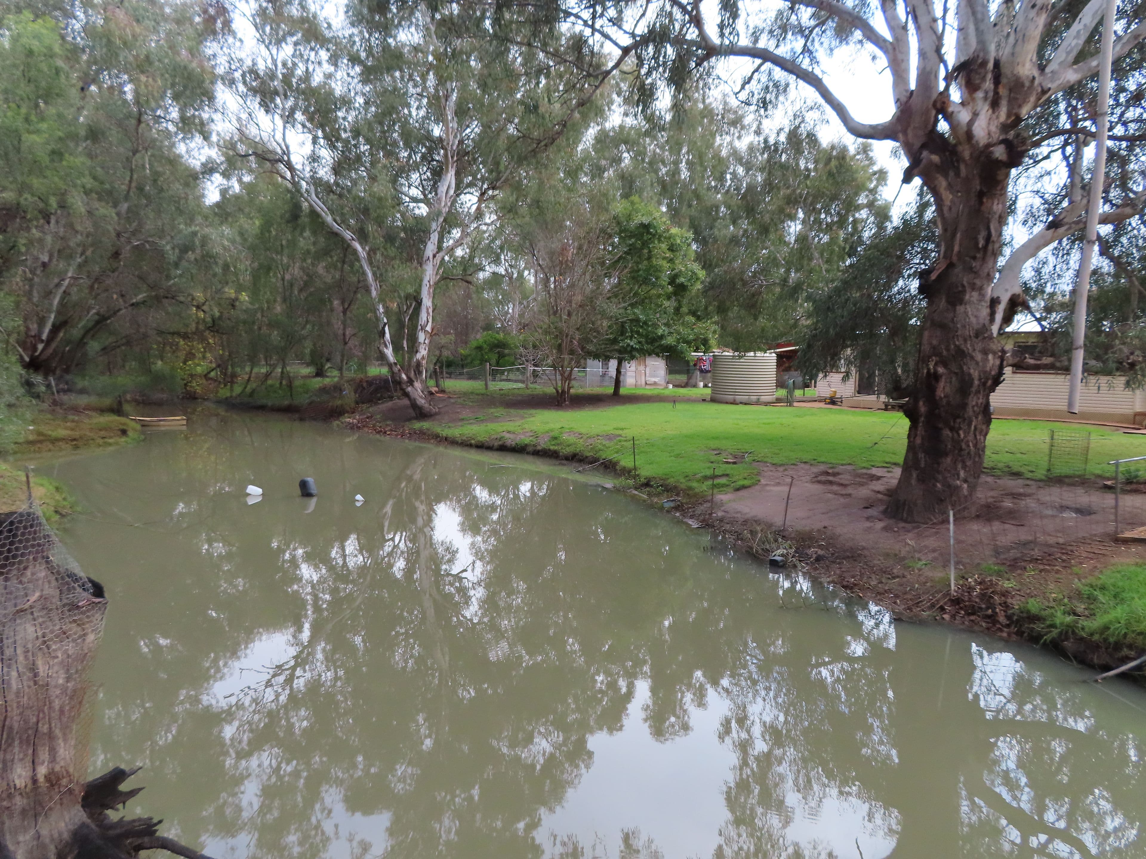"COOINDA" 69 Cooinda Lane, CONDOBOLIN NSW 2877, Condobolin - Thumbnail 6