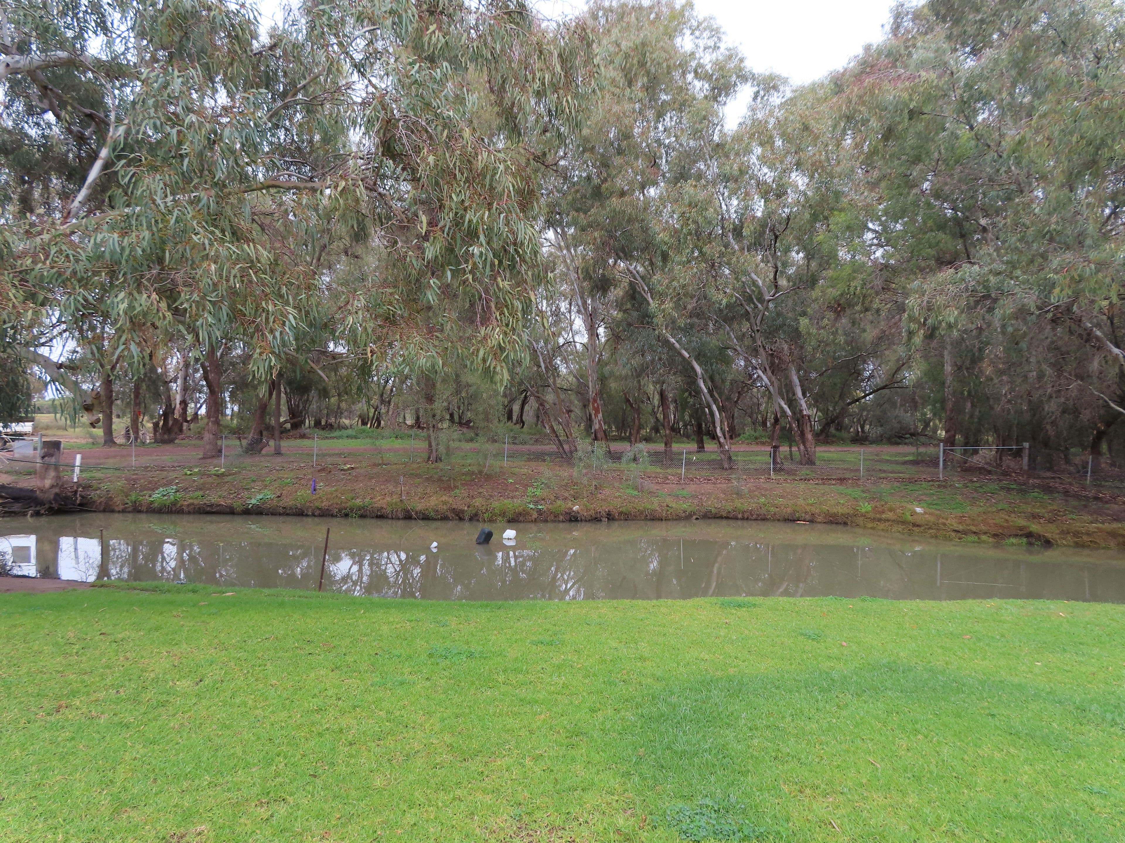 "COOINDA" 69 Cooinda Lane, CONDOBOLIN NSW 2877, Condobolin - Thumbnail 7