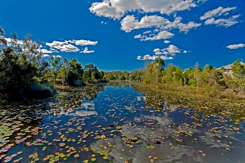 6 Attenuatta Place, NOOSAVILLE QLD 4566, Noosaville - Thumbnail 2