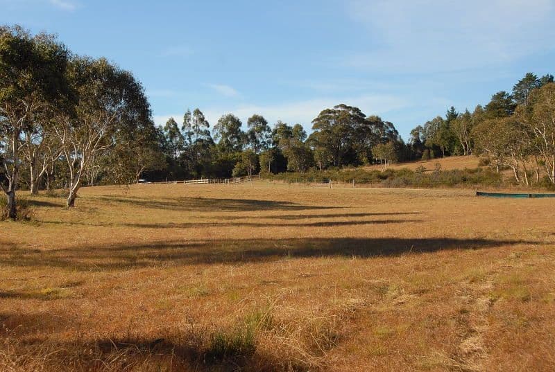 Lot 3 Budawang Road, Mongarlowe NSW 2622, Mongarlowe - Thumbnail 2