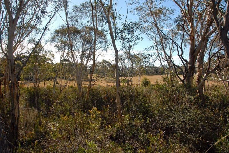 Lot 3 Budawang Road, Mongarlowe NSW 2622, Mongarlowe - Thumbnail 4