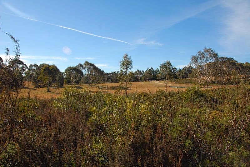 Lot 3 Budawang Road, Mongarlowe NSW 2622, Mongarlowe - Thumbnail 5