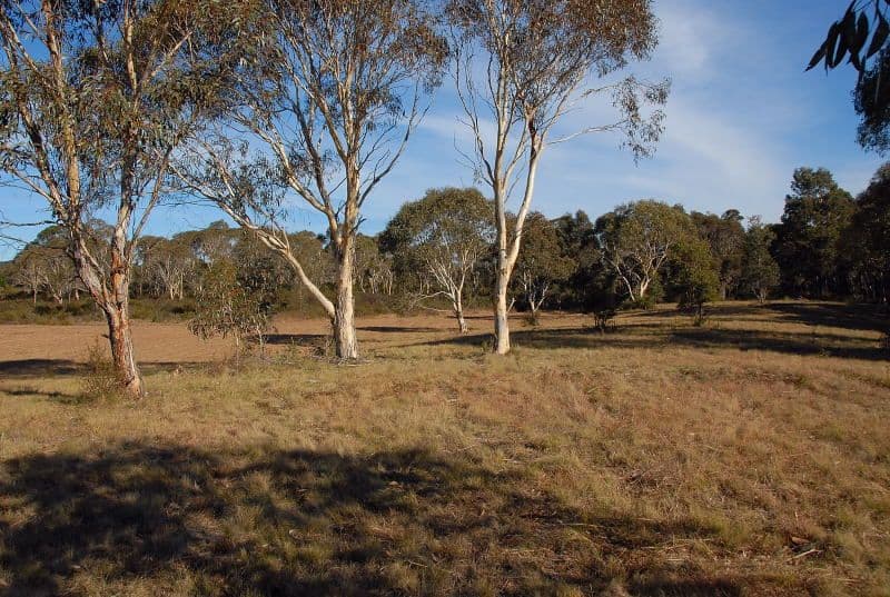 Lot 3 Budawang Road, Mongarlowe NSW 2622, Mongarlowe - Thumbnail 7