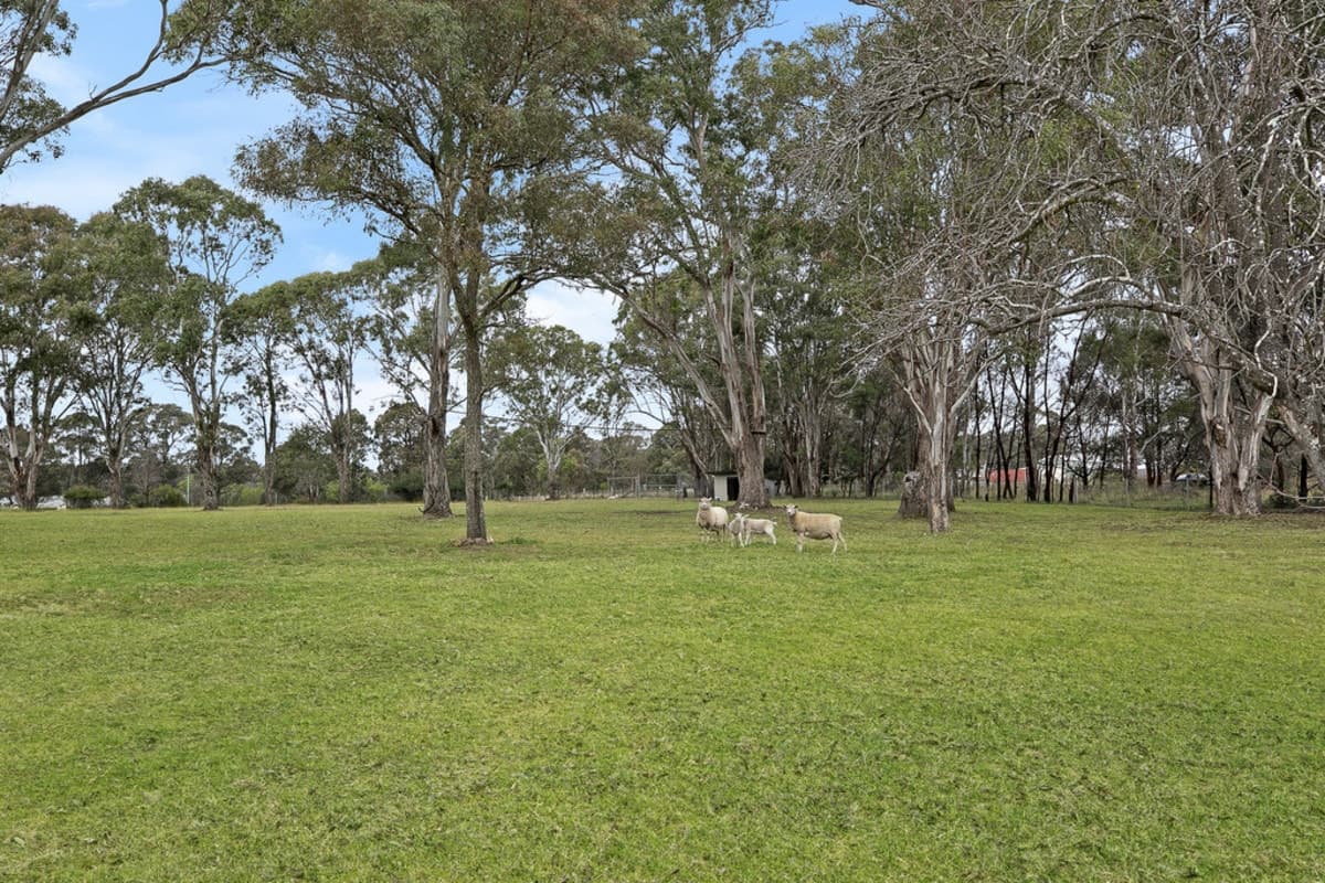 40 Johnston Road, BARGO, Bargo - Thumbnail 8
