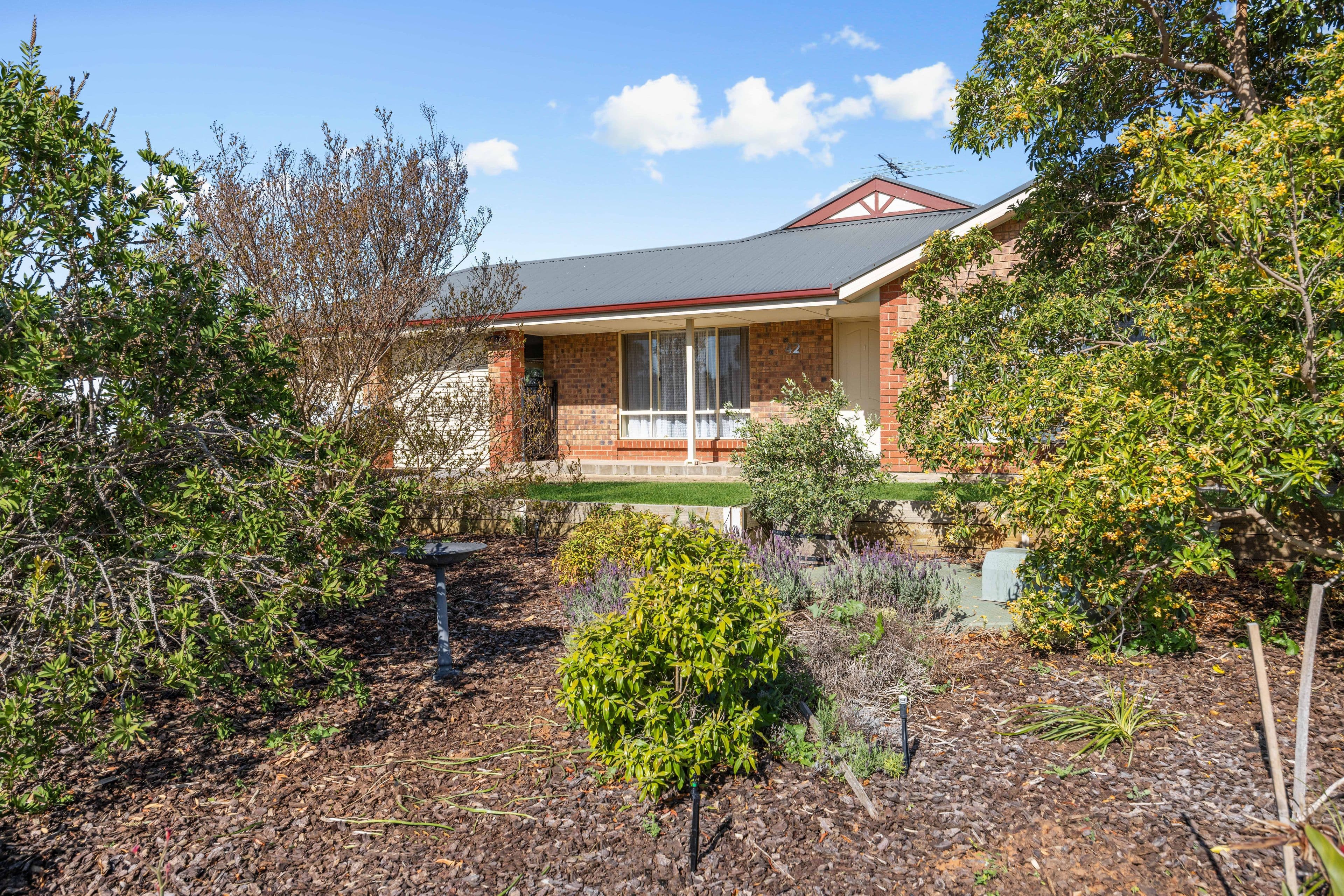 42 East Terrace, Callington SA 5254, Callington - Thumbnail 3
