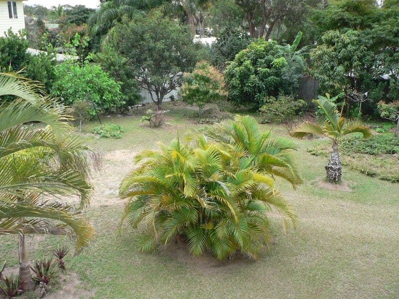 TANNUM SANDS QLD 4680, Tannum Sands - Thumbnail 3