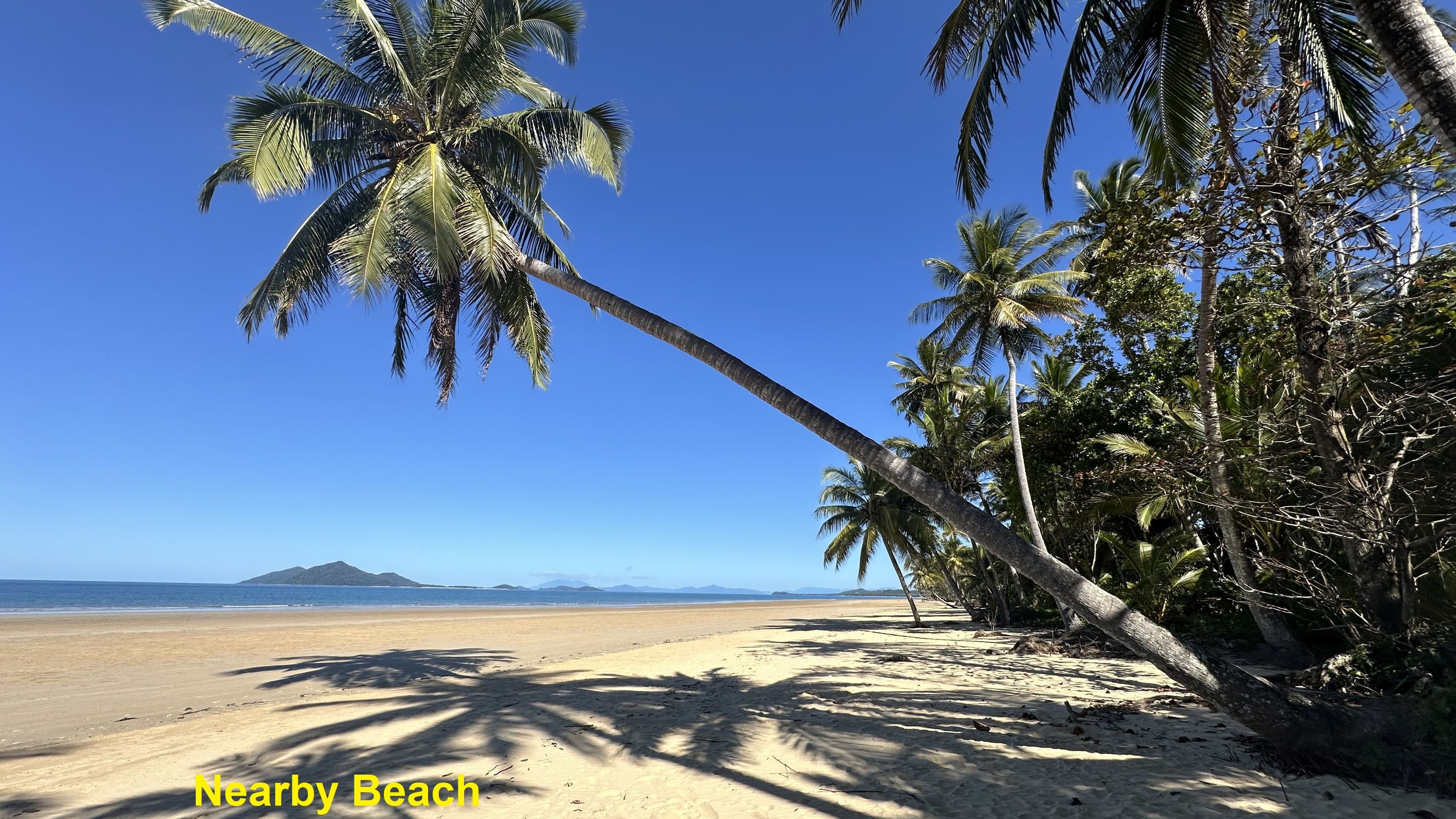 10 Reef Close, Mission Beach QLD 4852, Mission Beach - Thumbnail 7