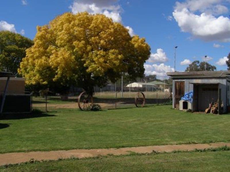 2-4 Main Street, CUDAL NSW 2864, Cudal - Thumbnail 4