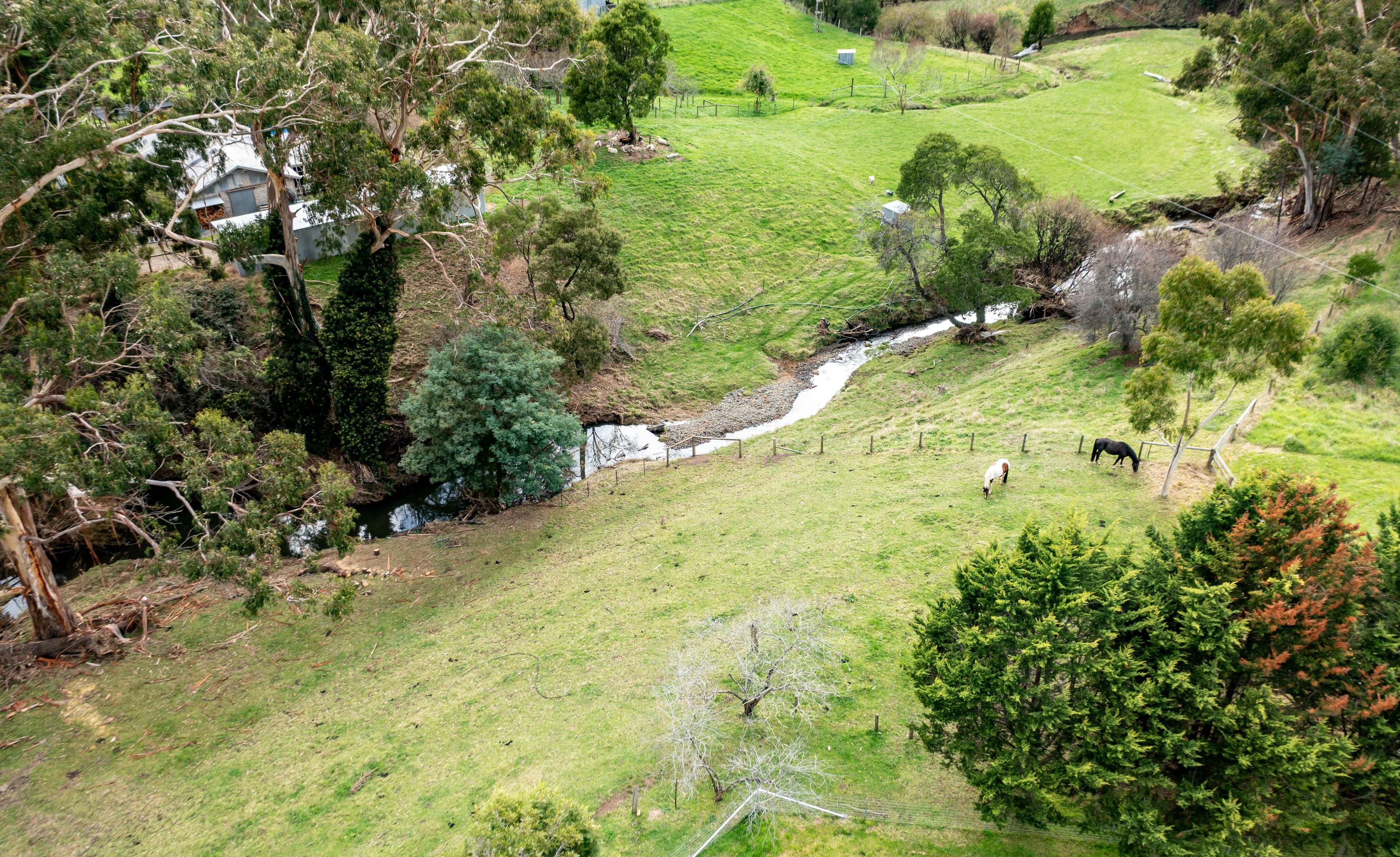 20 McAlpine Road, Yarram VIC 3971, Yarram - Thumbnail 6