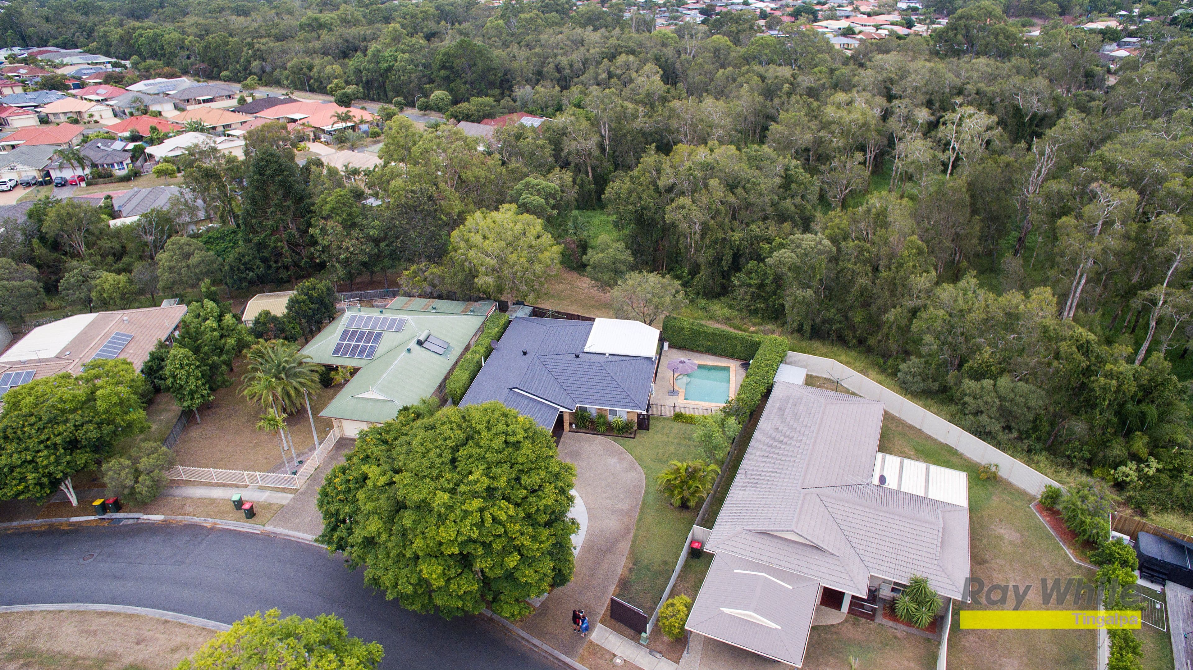 12 Solomon Crescent, Tingalpa QLD 4173, Tingalpa - Thumbnail 3
