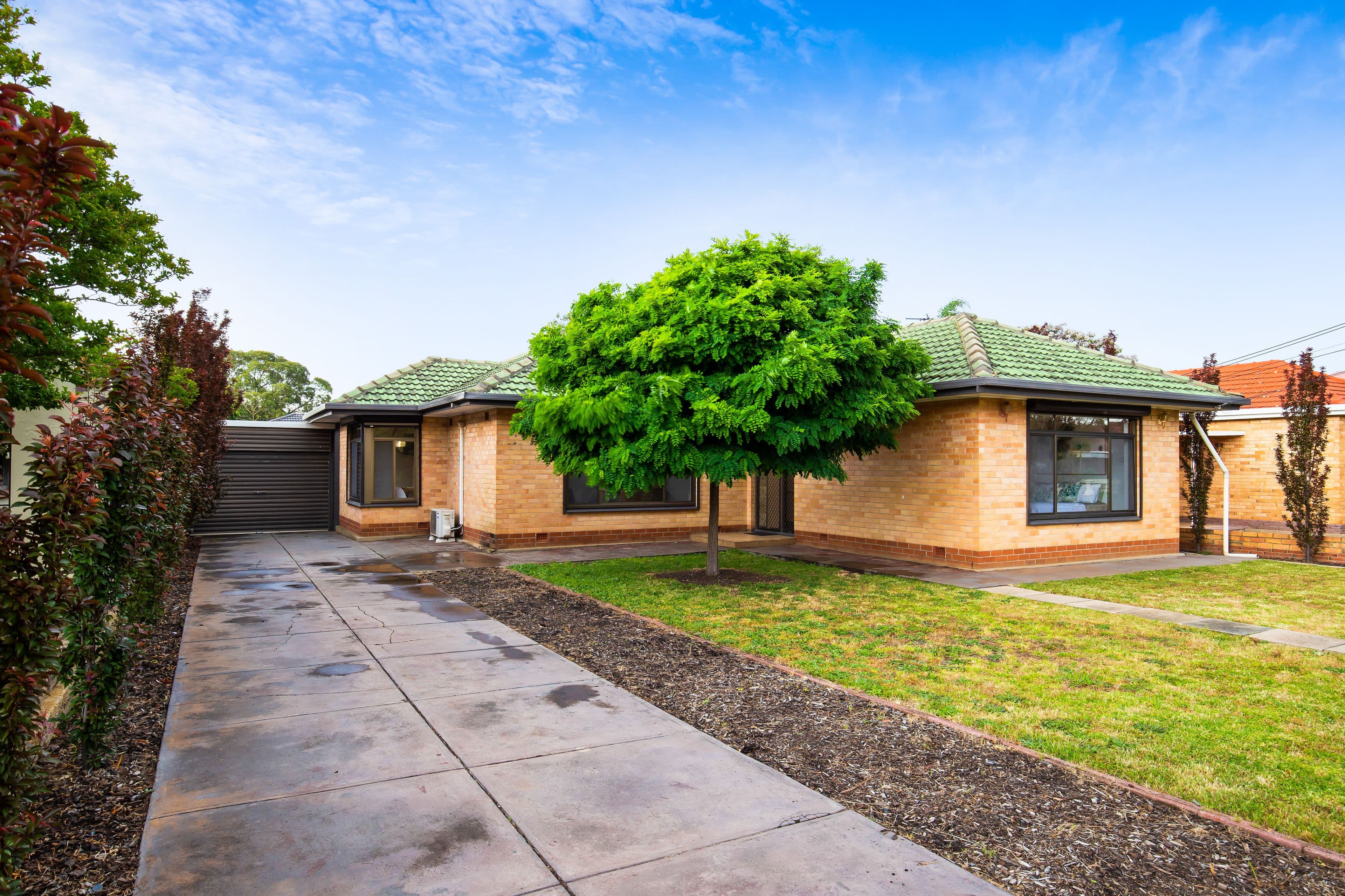 33 Dingera Avenue, North Plympton SA 5037, North Plympton - Thumbnail 2