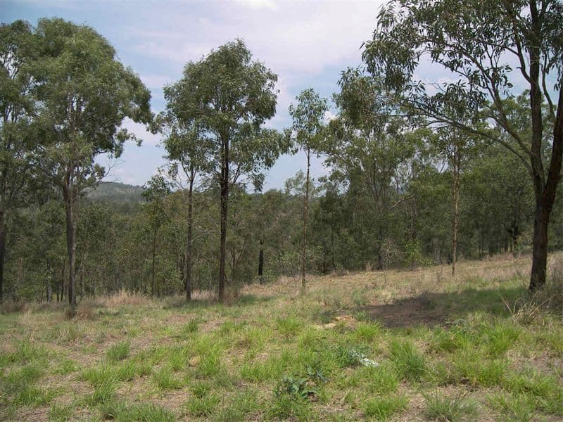 GLENVALE, QLD, Glenvale - Thumbnail 2